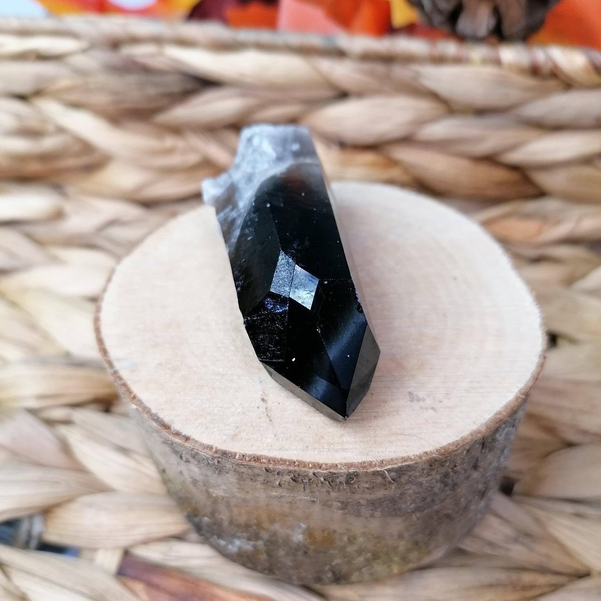 Long Smokey Quartz Point CLuster with dark brown to black point and white quartz base