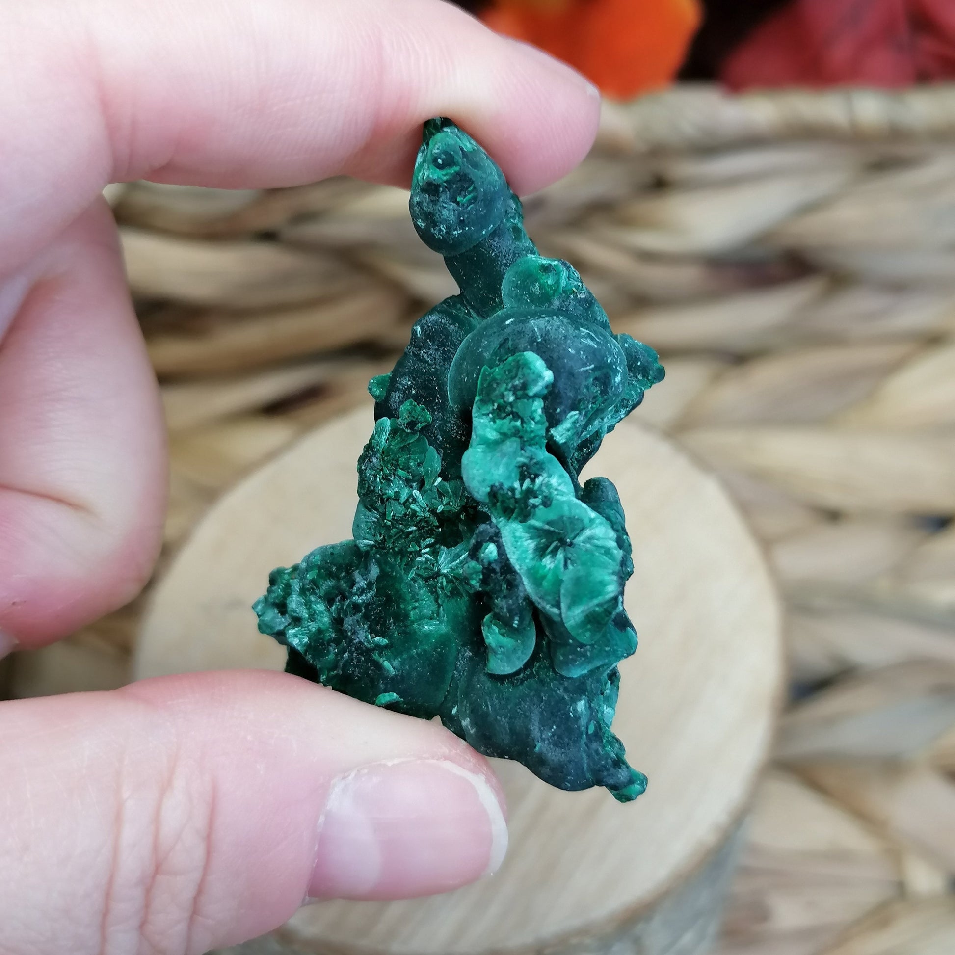 Dark Green Velvet Malachite with beautiful velvet sheen