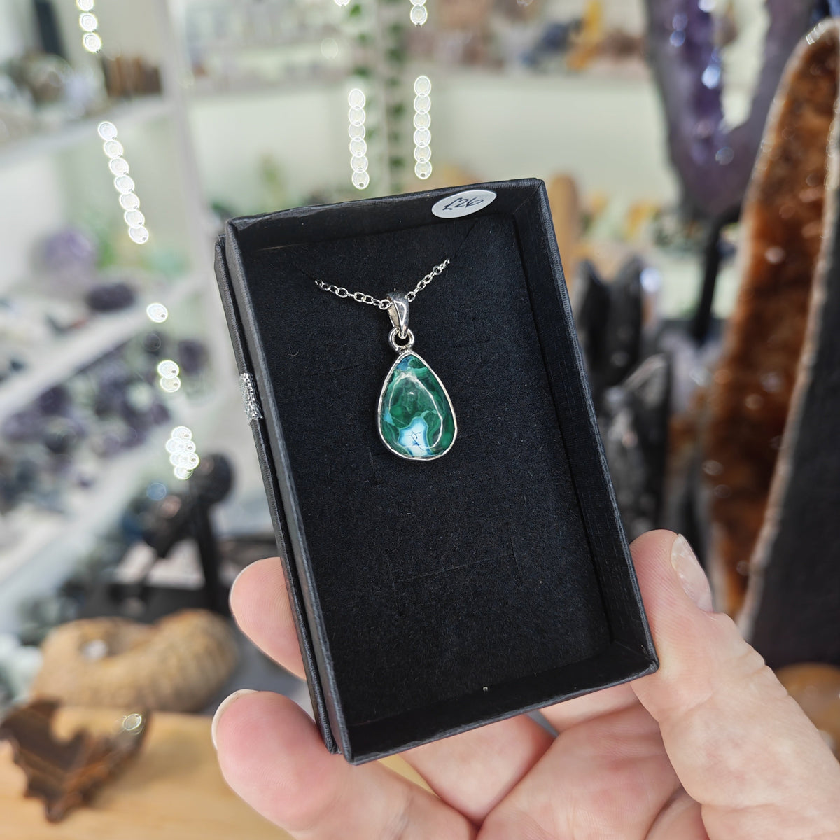 Malacholla Sterling Silver Necklace 