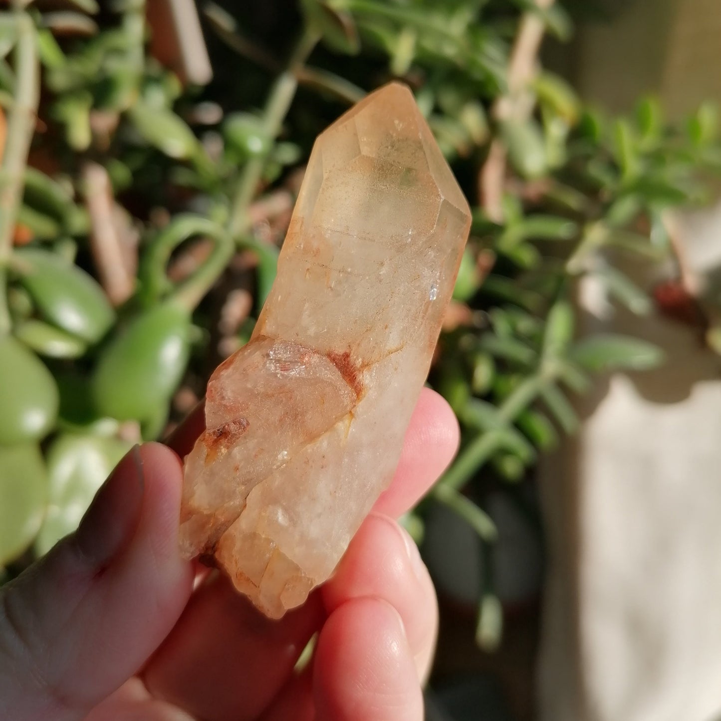 Dark golden brown natural citrine point option b