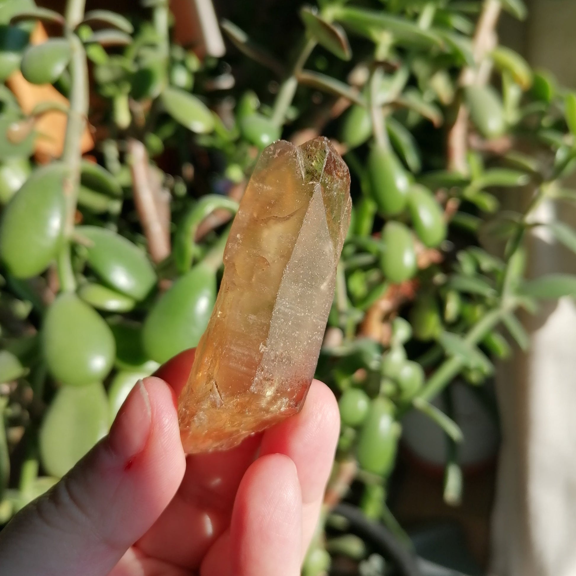 dark golden brown natural citrine point option E