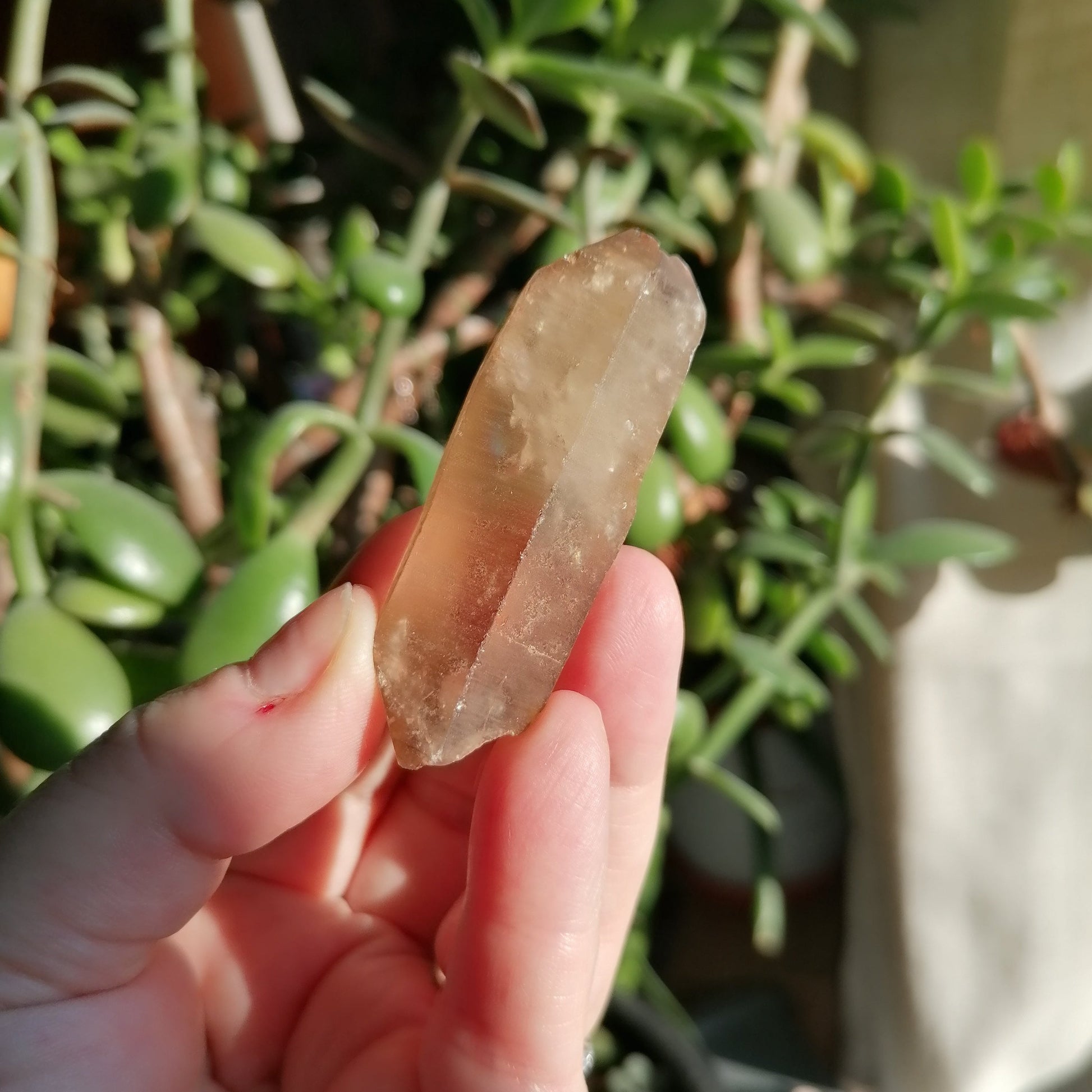 dark golden brown natural citrine point option F