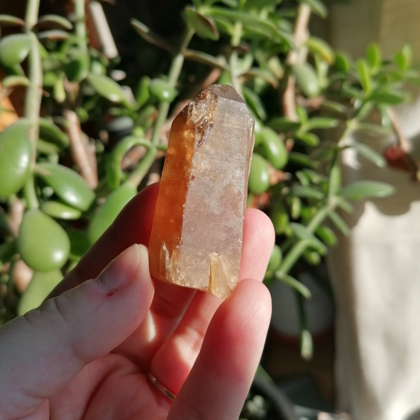 dark golden brown natural citrine point option C