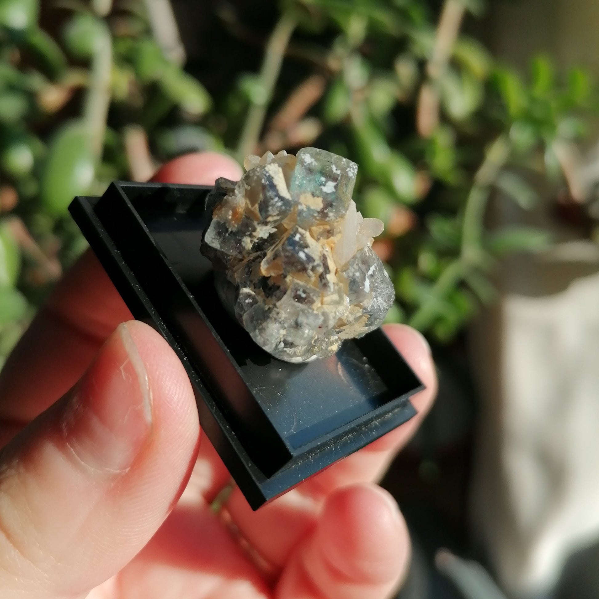 Okorusu green fluorite collector piece