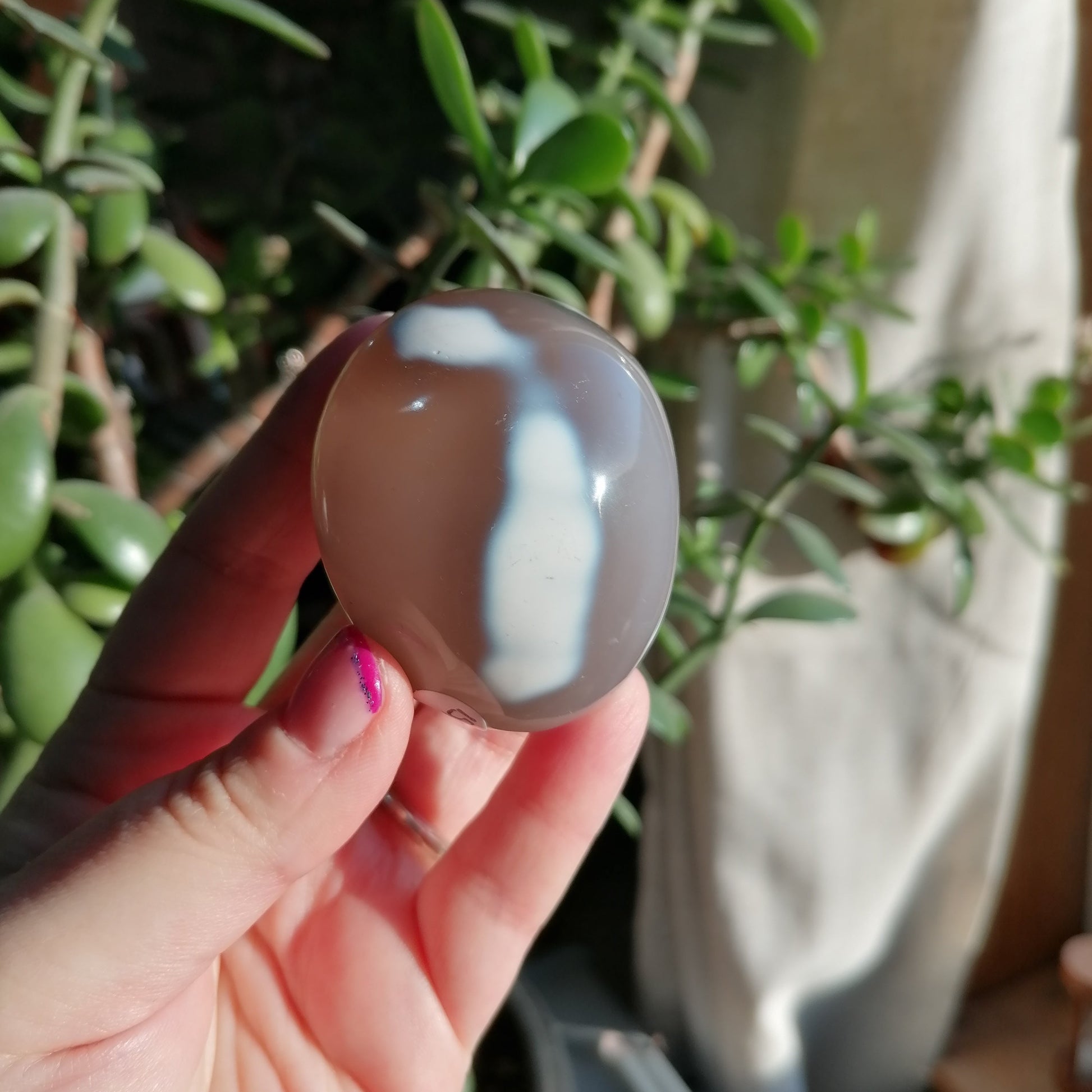 grey and white orca agate palm stone