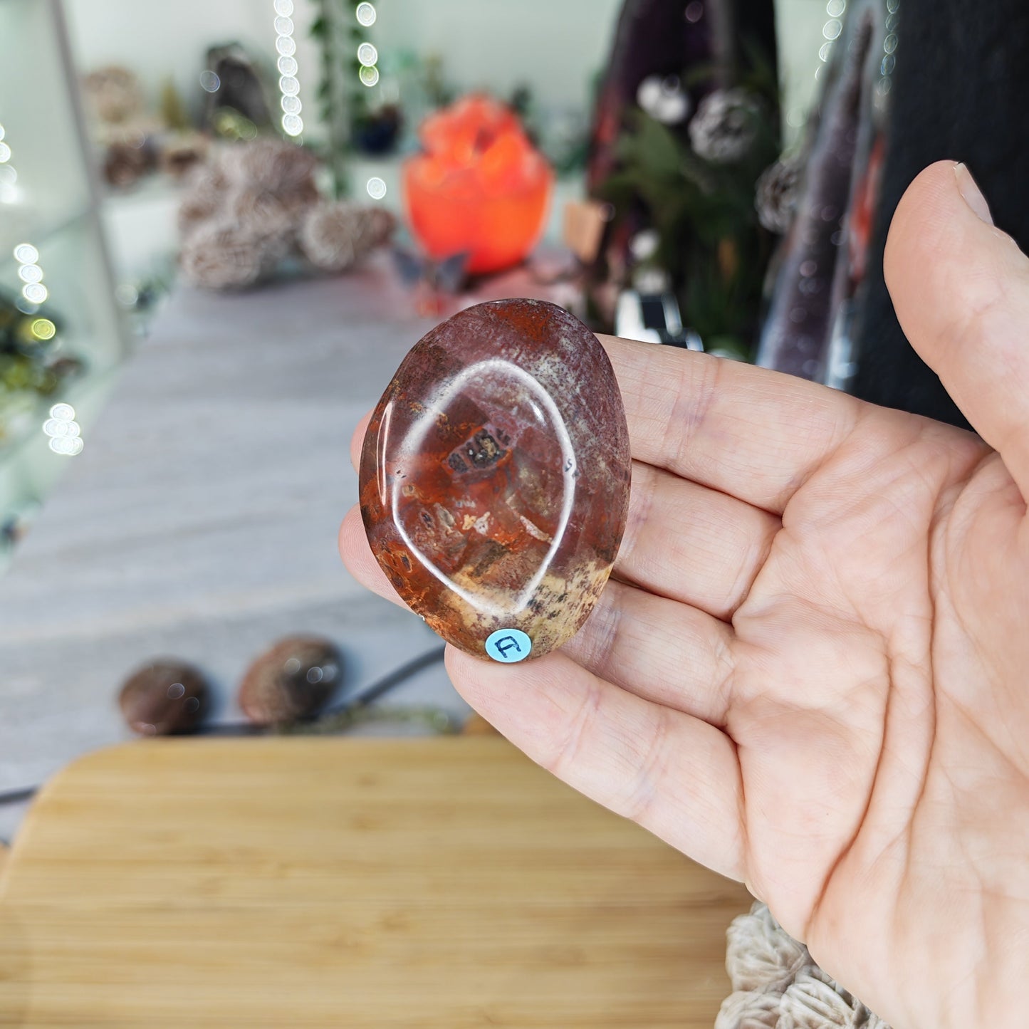 Petrified Wood Palm Stone Option A