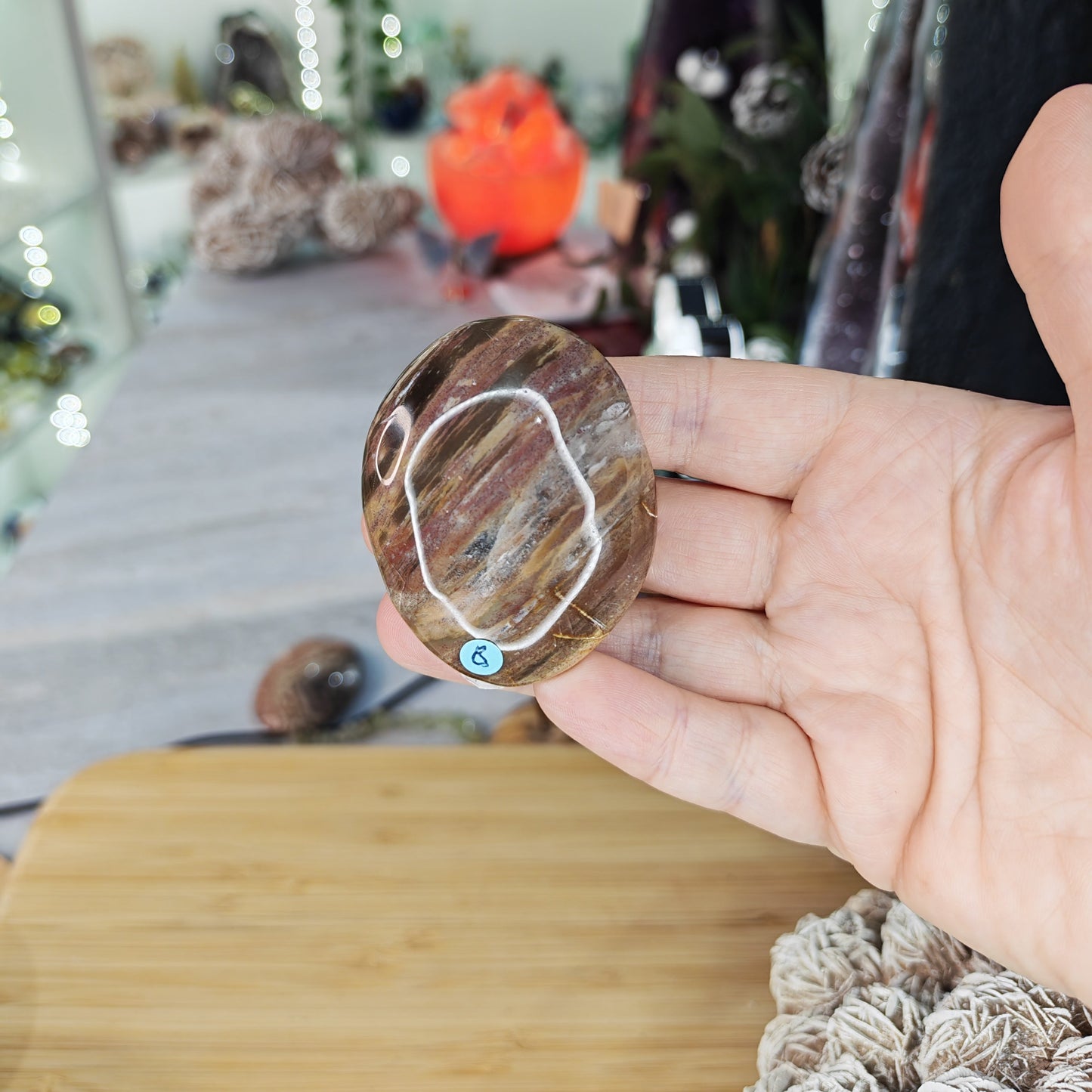 Petrified Wood Palm Stone Option B