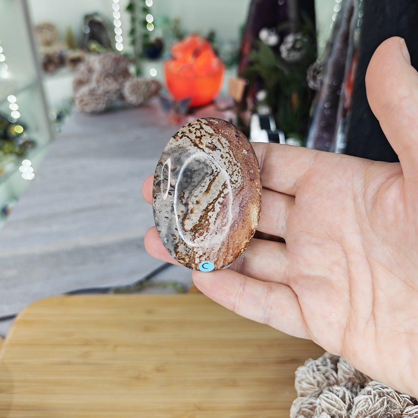 Petrified Wood Palm Stone Option C