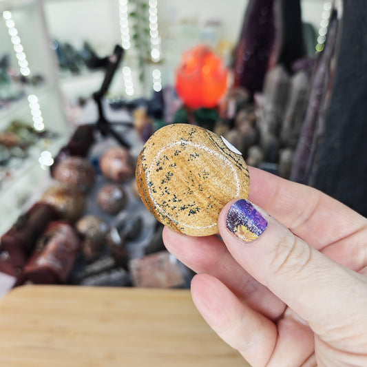 Picture Jasper Worry Stone