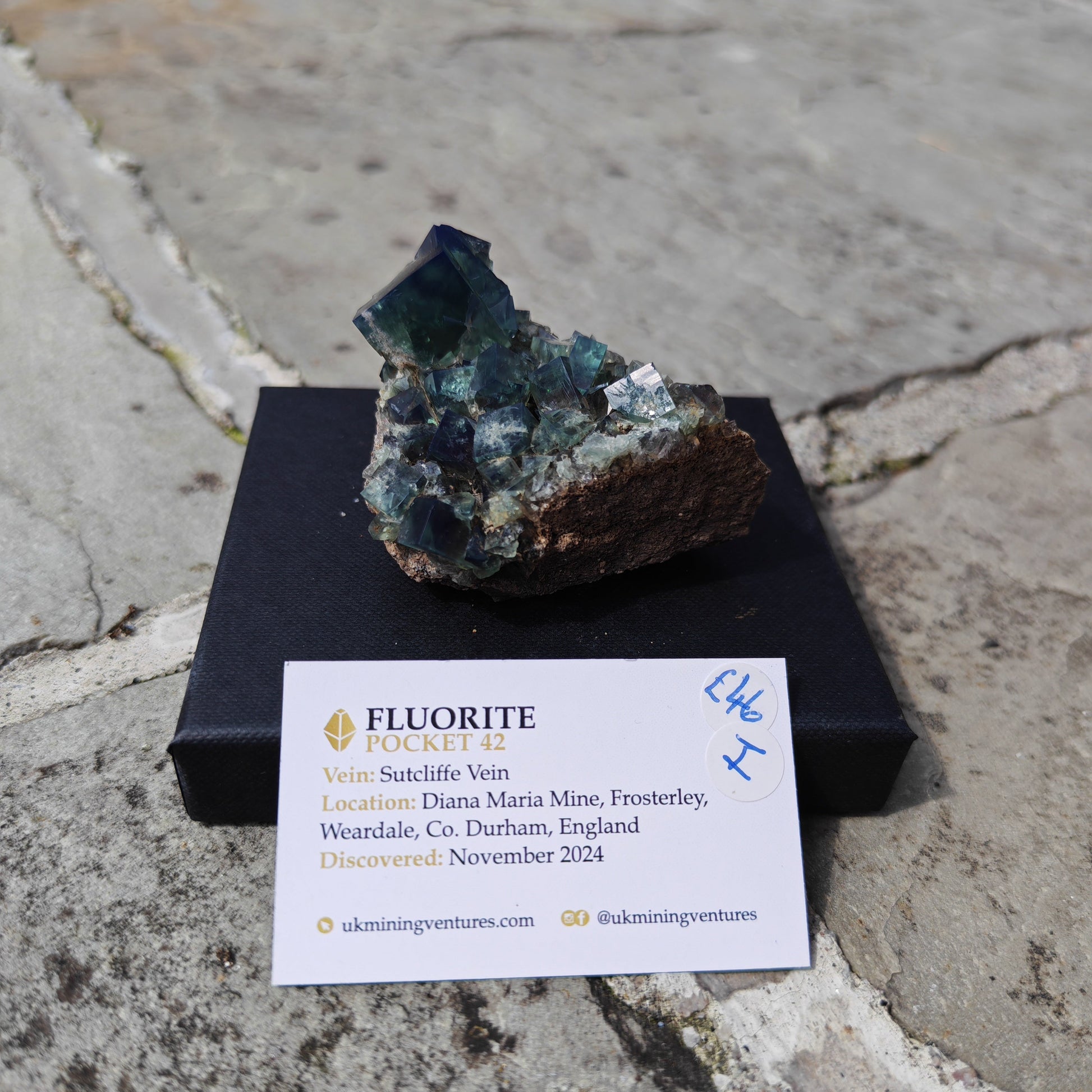 Pocket 42 Fluorite Specimen with green blue cubes
