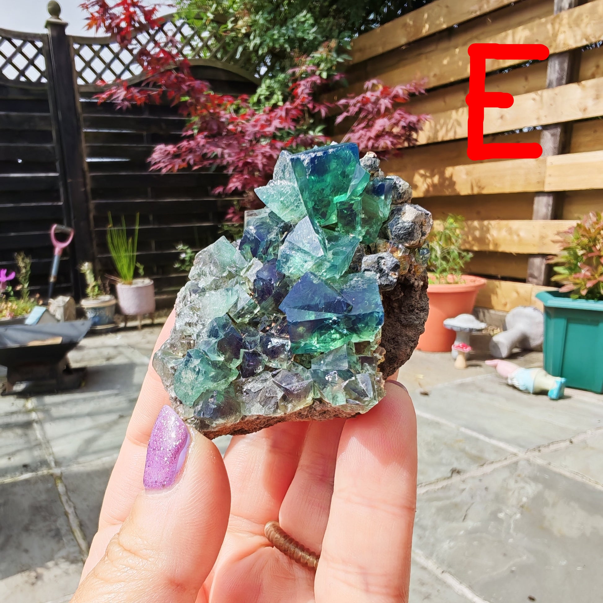 Pocket 42 UK Fluorite with glassy green cubes and blue UV fluorescence 