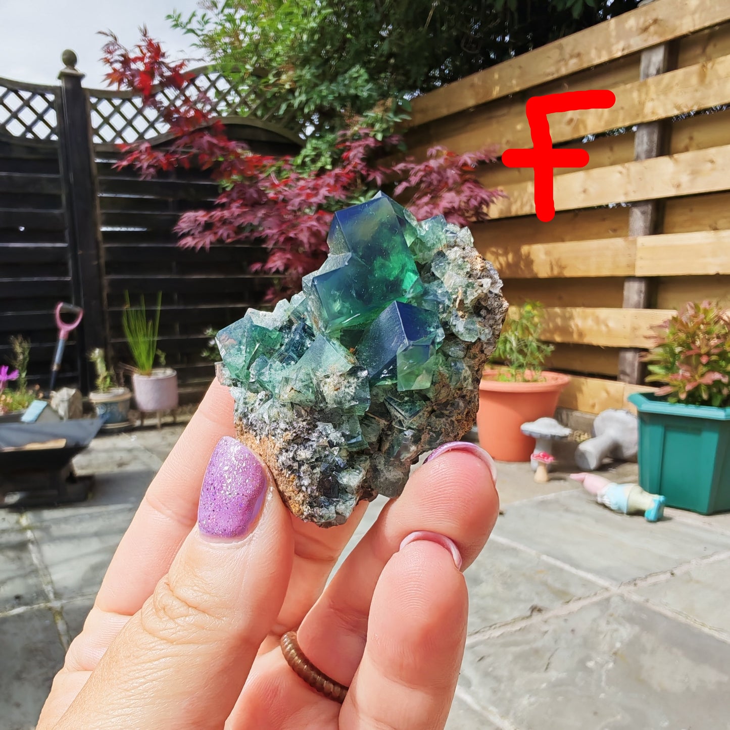 Pocket 42 UK Fluorite with green cubes and blue colour change in daylight