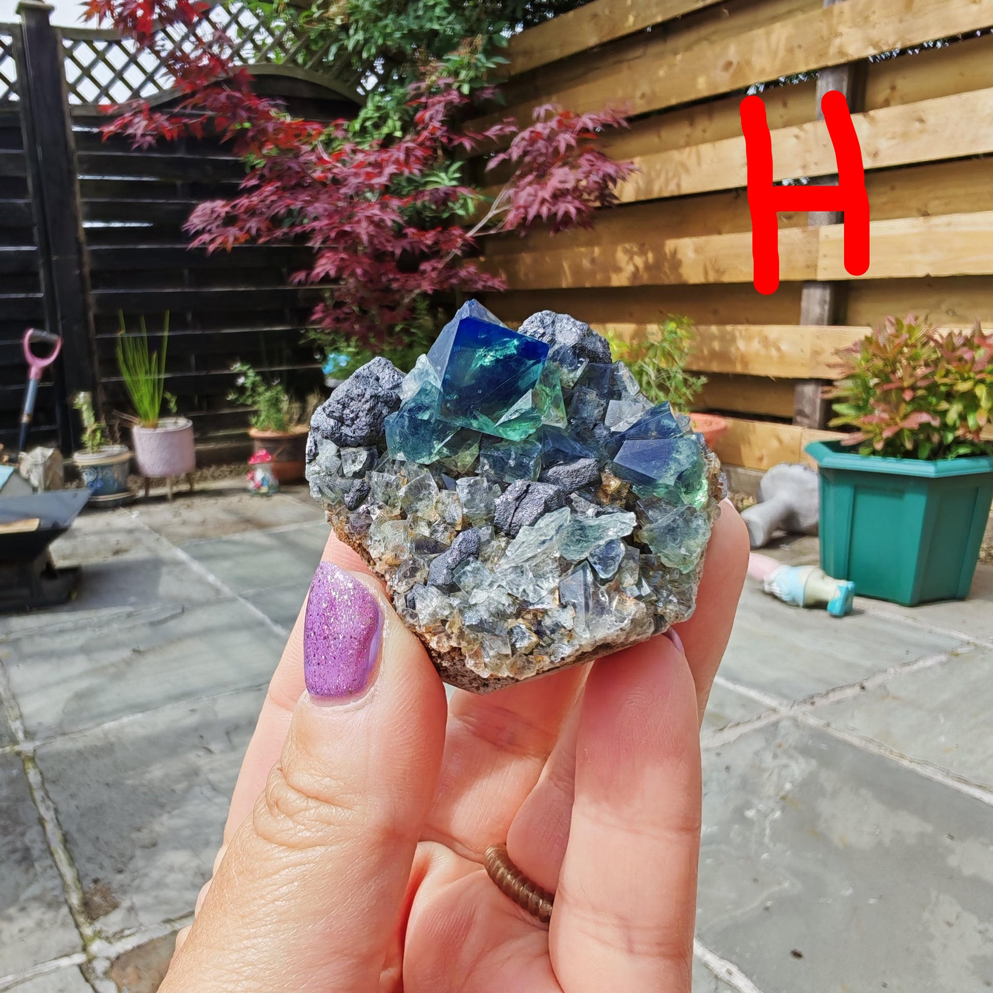 Pocket 42 UK Fluorite specimen with green glassy cubes and blue fluorescence 