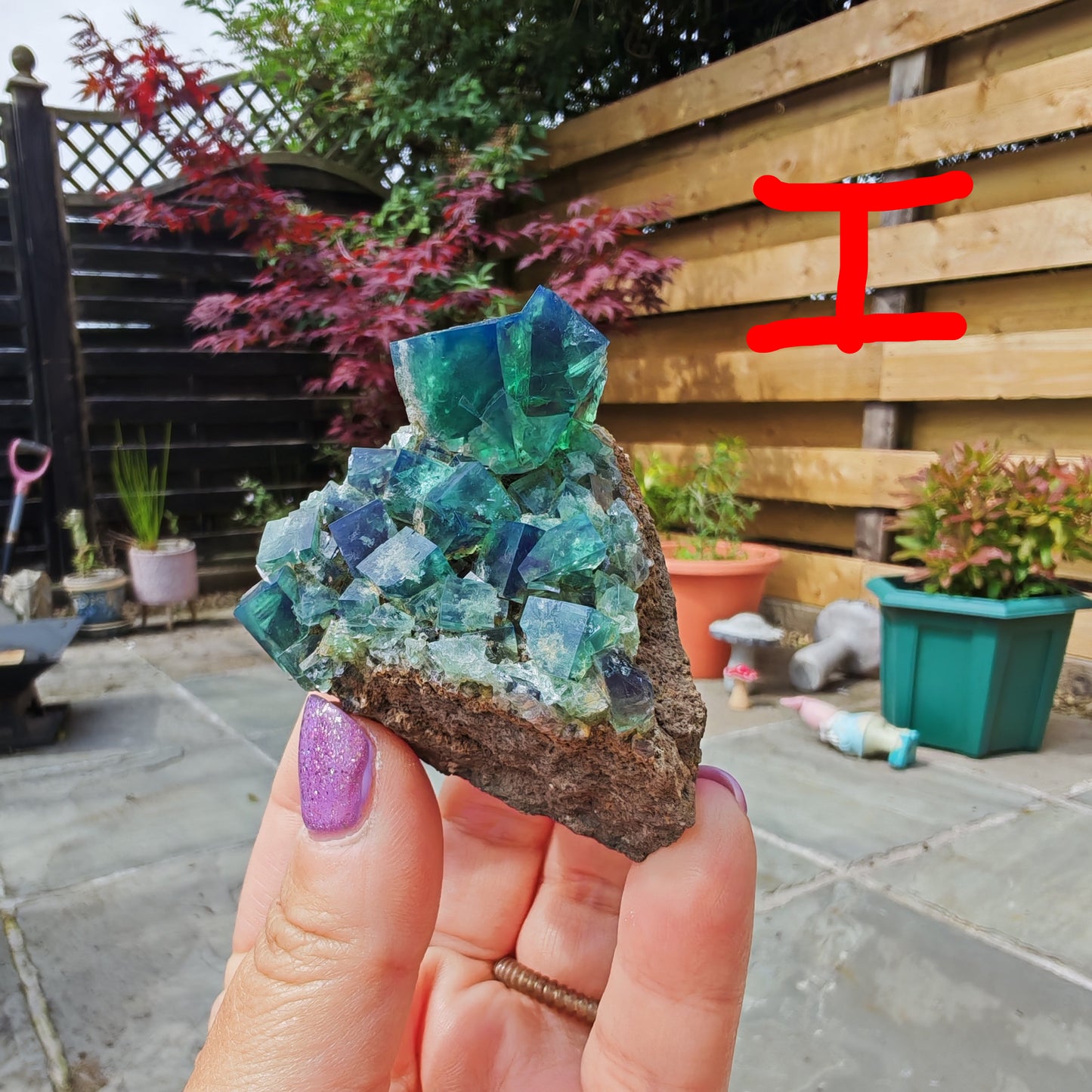 UK Fluorite Pocket 42 with green clear cubes and blue colour change in daylight