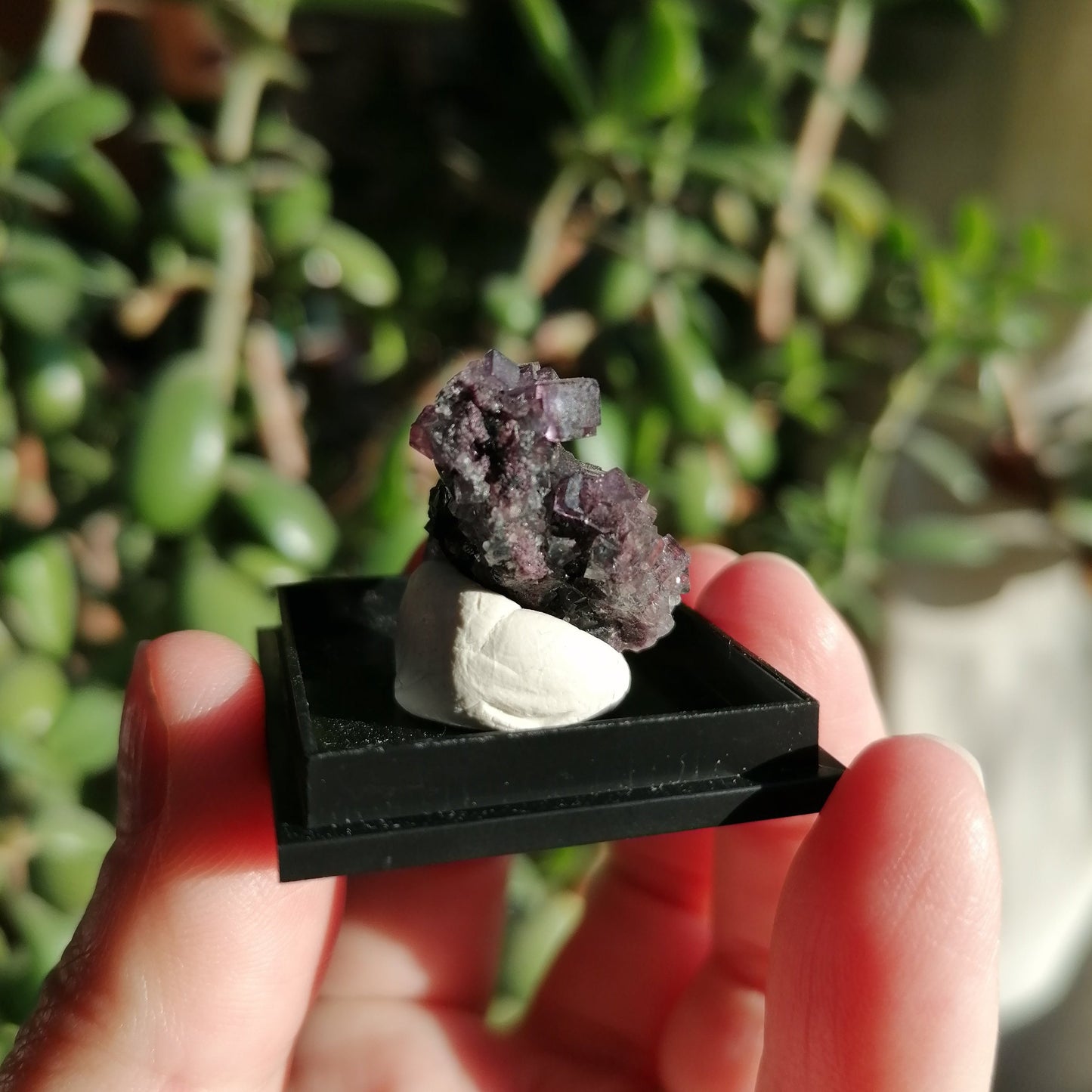 Purple Okorusu Fluorite in box