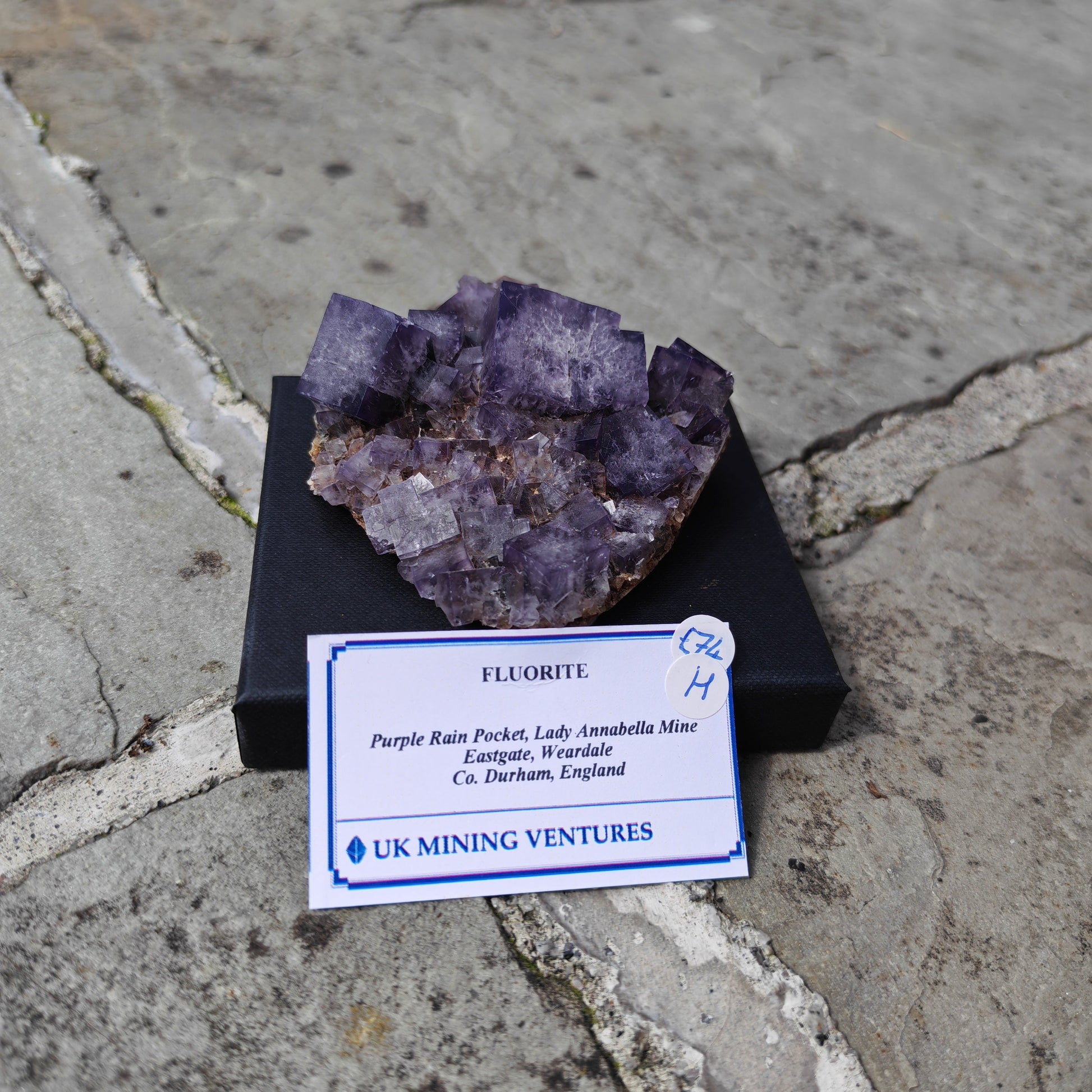 Purple Rain Pocket Fluorite specimen collector grade