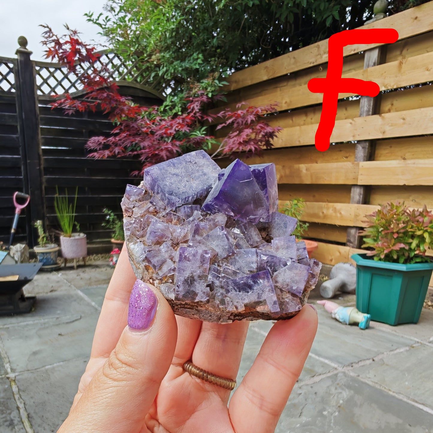 Purple Rain UK Fluorite collector grade specimen with green and purple zoning