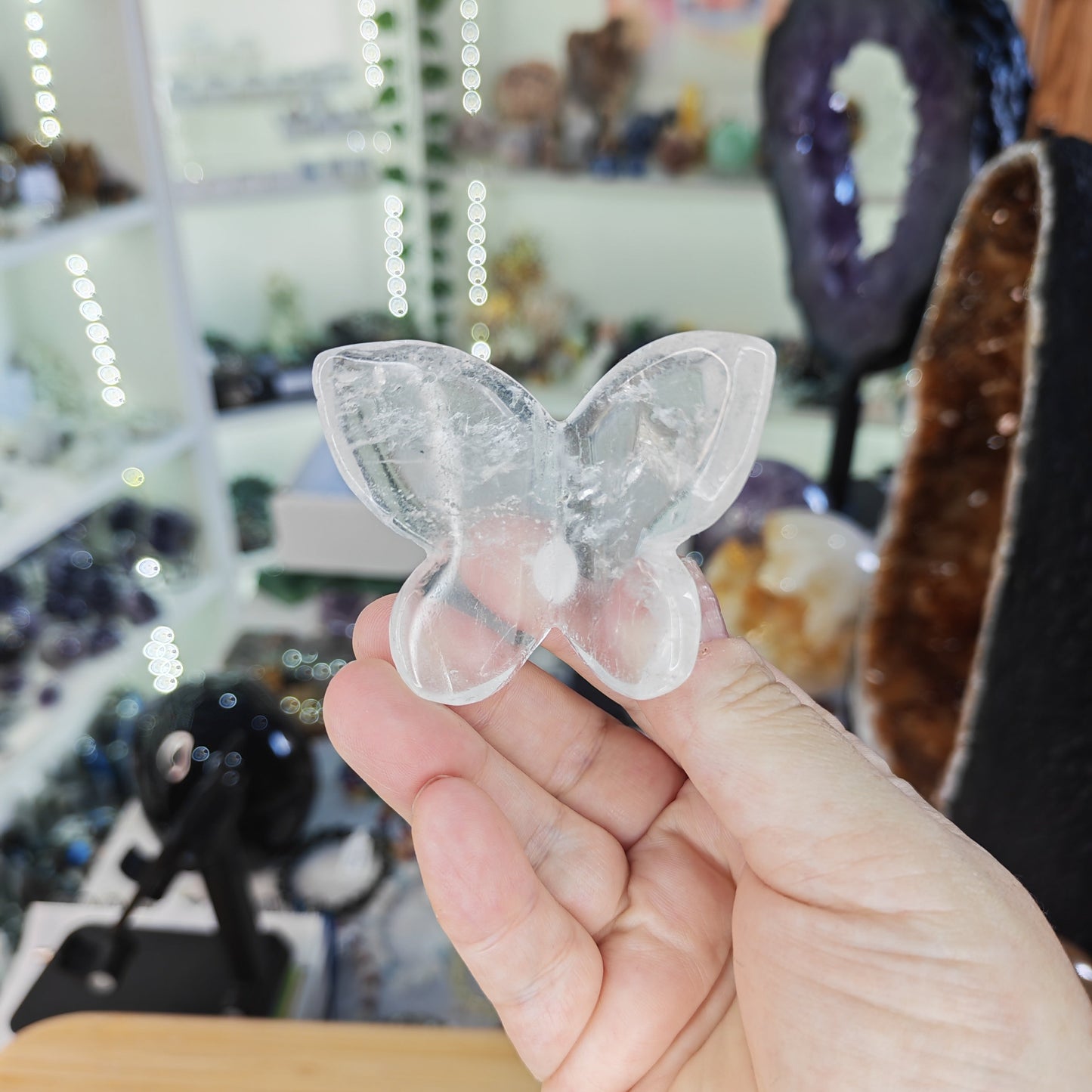 Quartz 3D Butterfly
