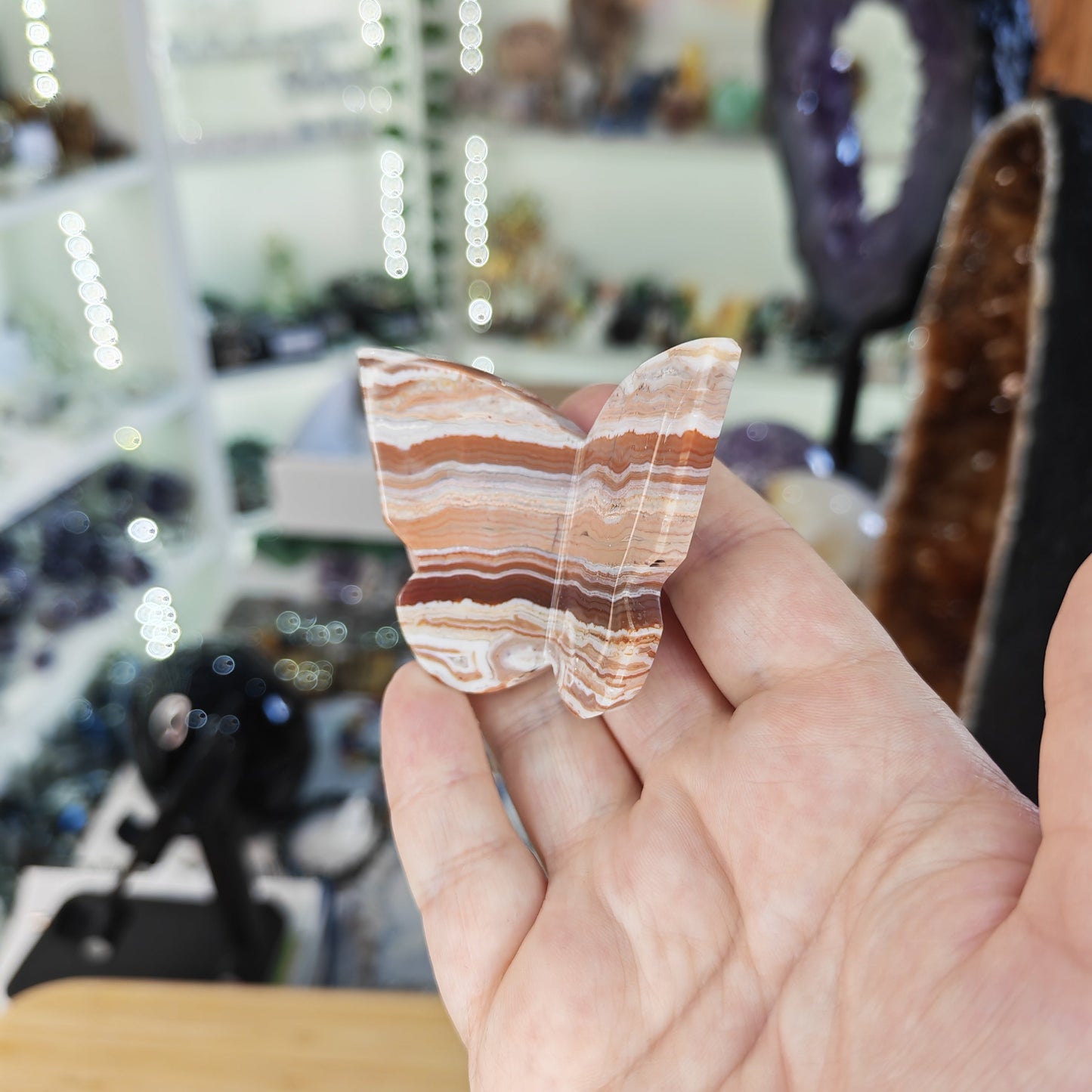 Red Banded Crazy Lace Agate 3D Butterfly