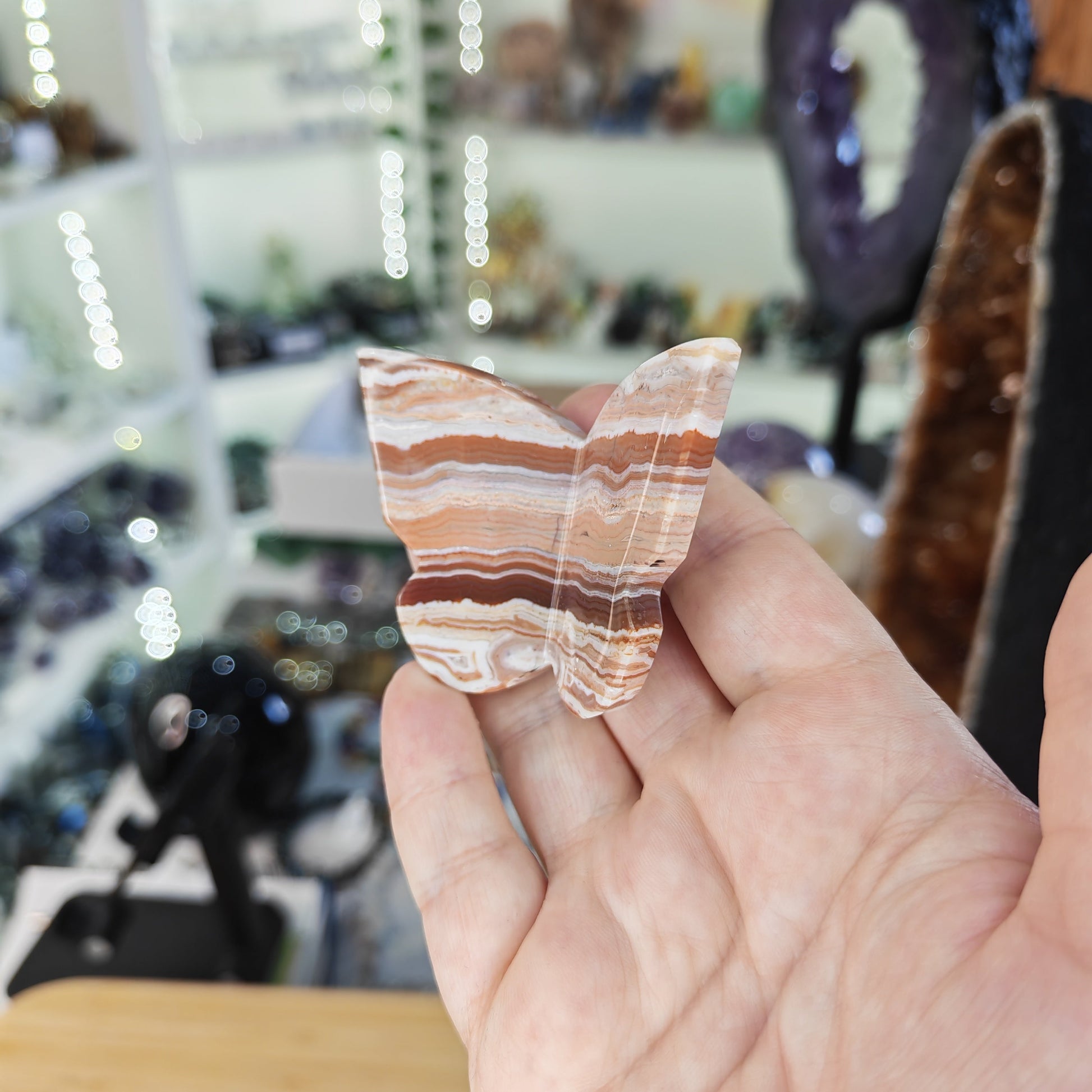 Red Banded Crazy Lace Agate 3D Butterfly