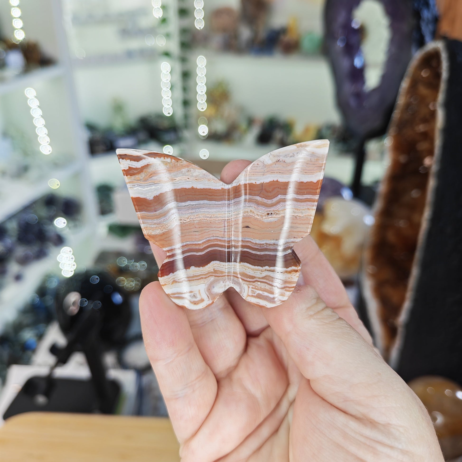 Red Crazy Lace Agate 3D Butterfly