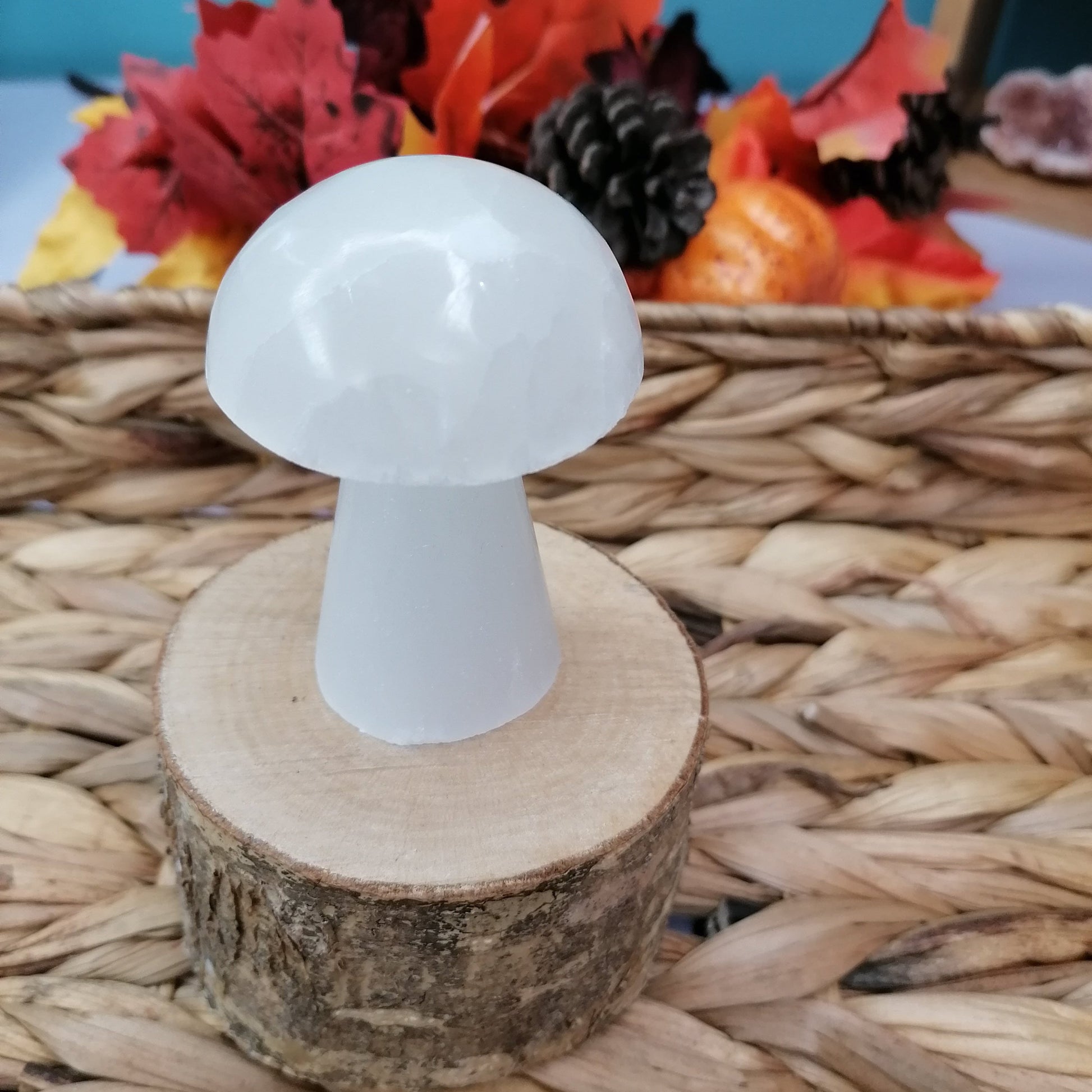 White Selenite Mushroom