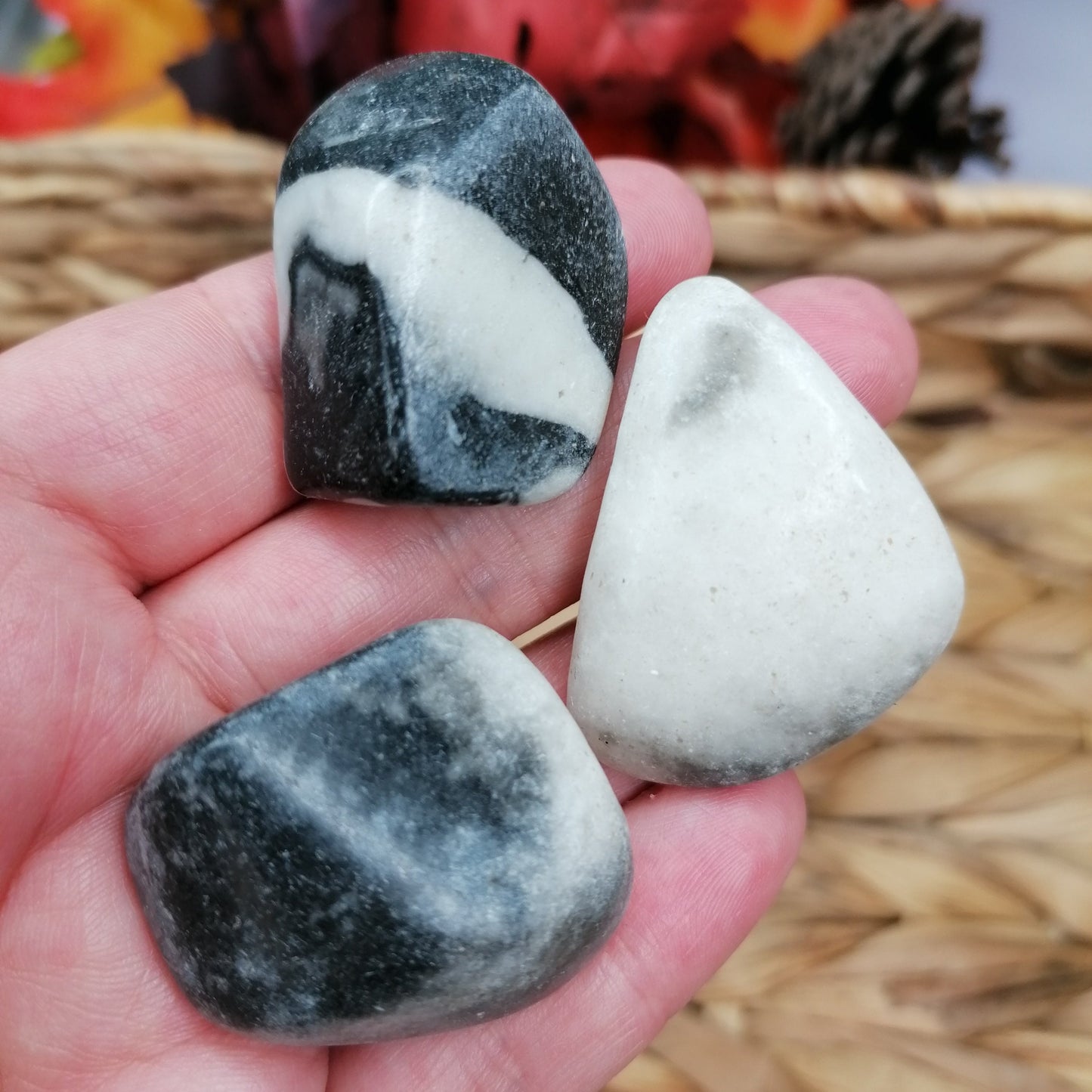 black and white shell jasper tumblestones