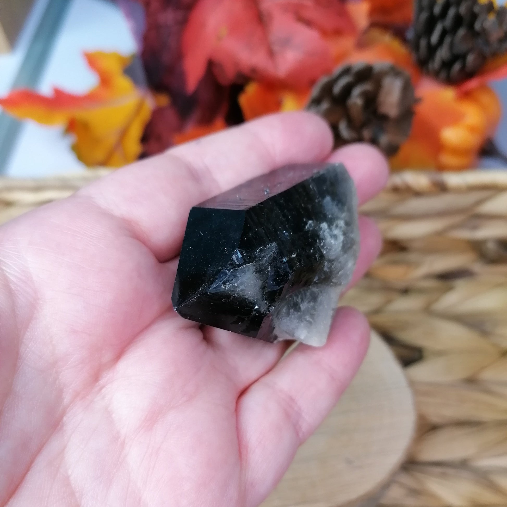 Dark brown to black smokey quartz point in hand to show size