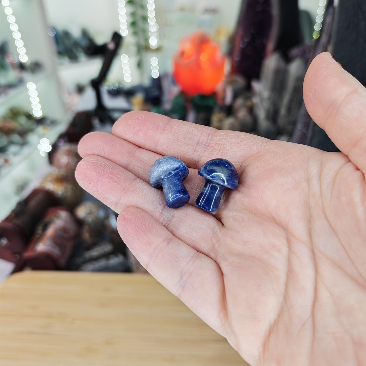Sodalite Mini Mushroom