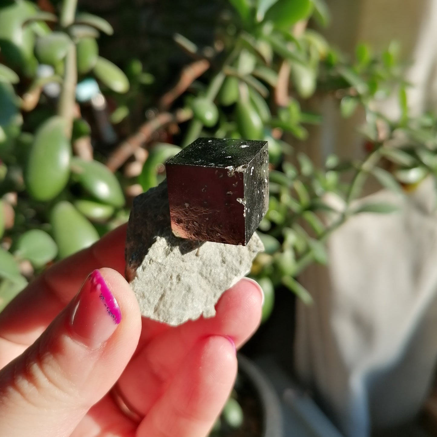 Pyrite cube on matrix from spain