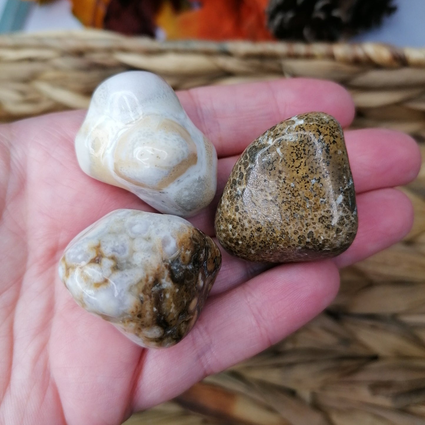 White and brown Spotted Agate Tumbles