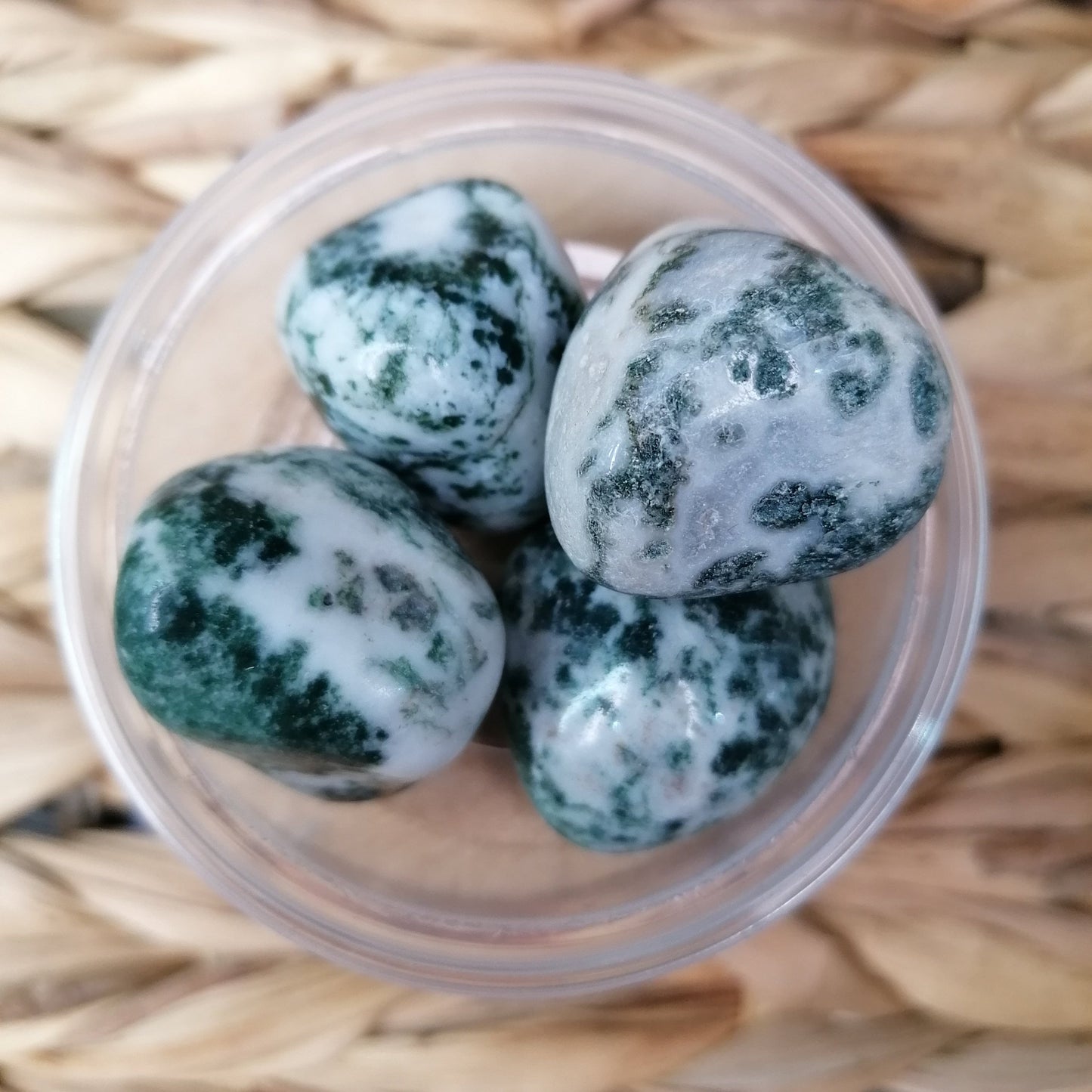 Tree Agate Crystals. White with green patterns