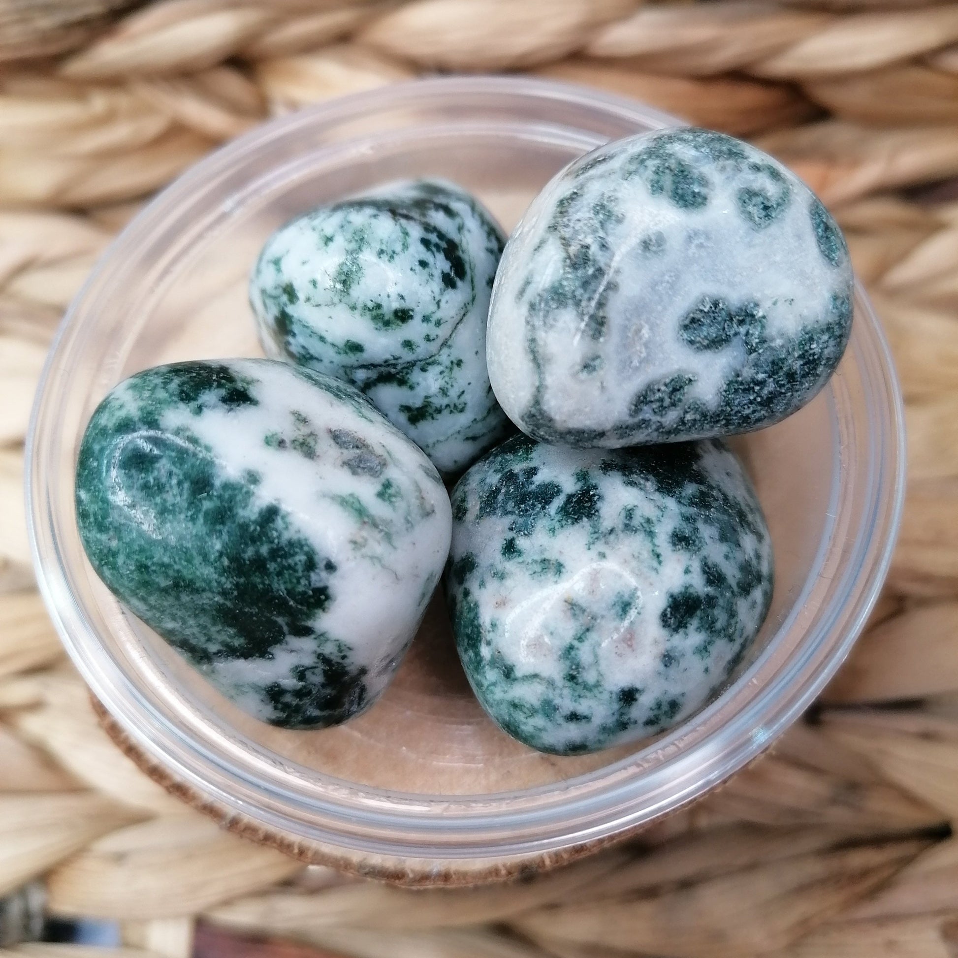 Green and White Tree Agate Tumbles. These large tumbles are white with beautiful green patterns 