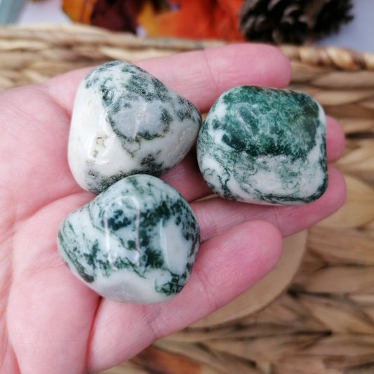 Green and white tree agate large tumblestone