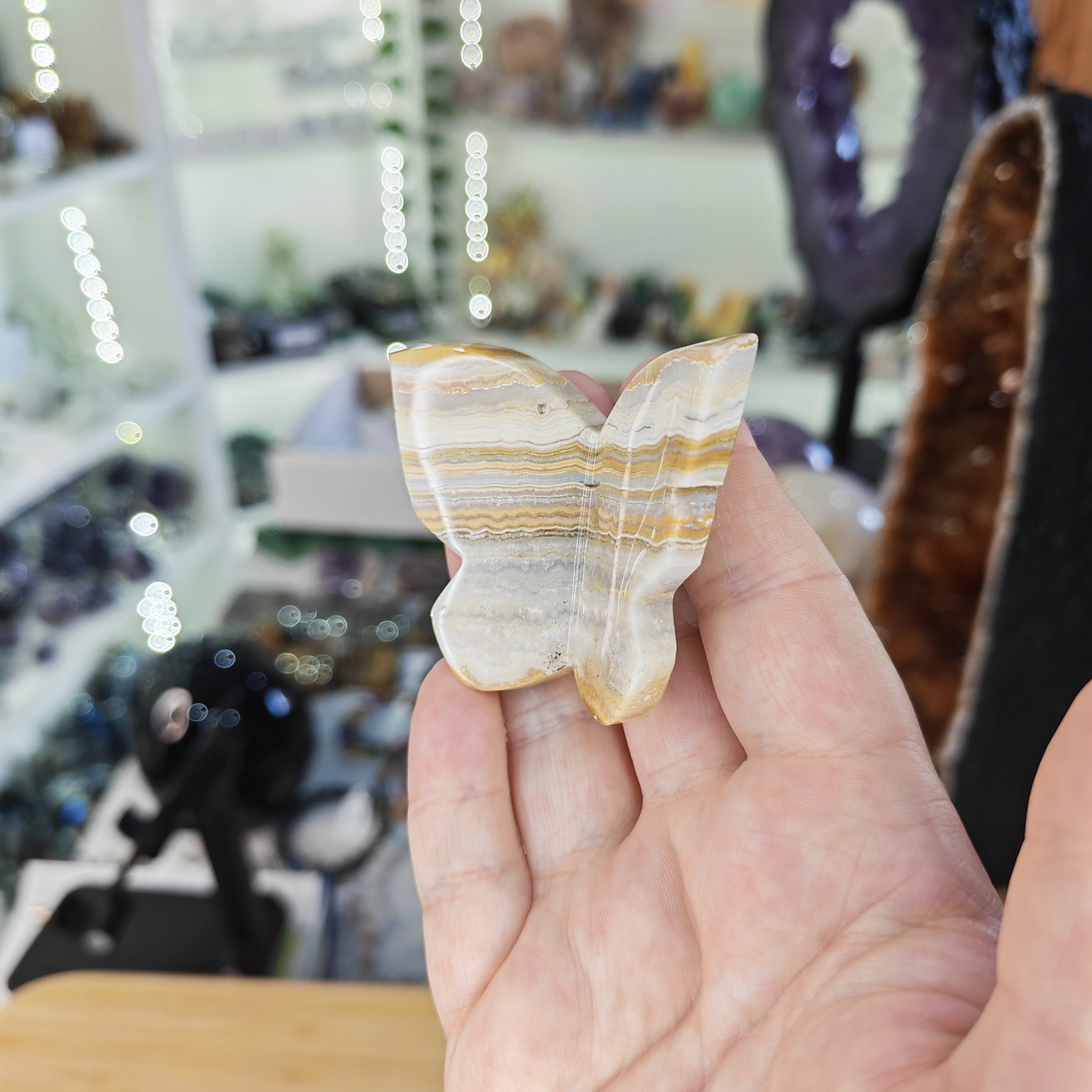 Yellow Banded Crazy Lace Agate 3D Butterfly