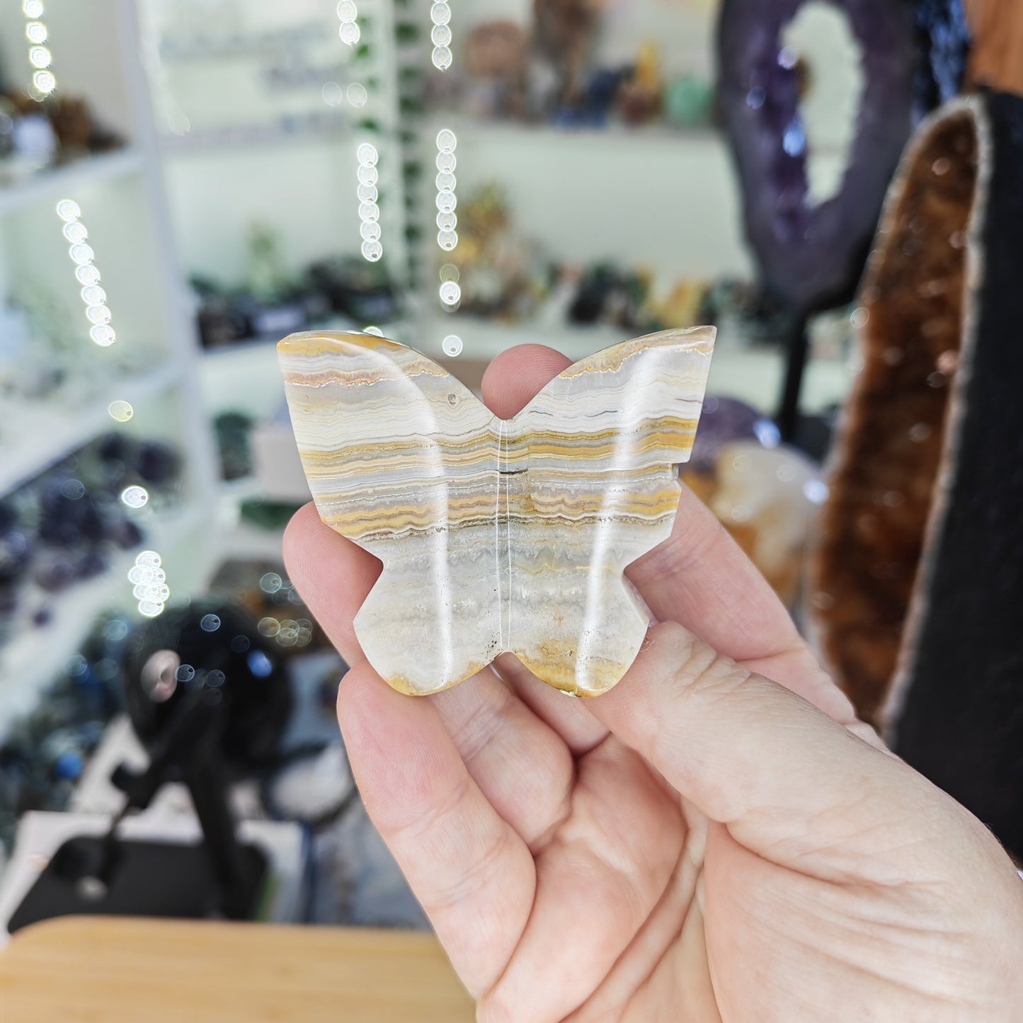 Yellow Crazy Lace Agate 3D Butterfly
