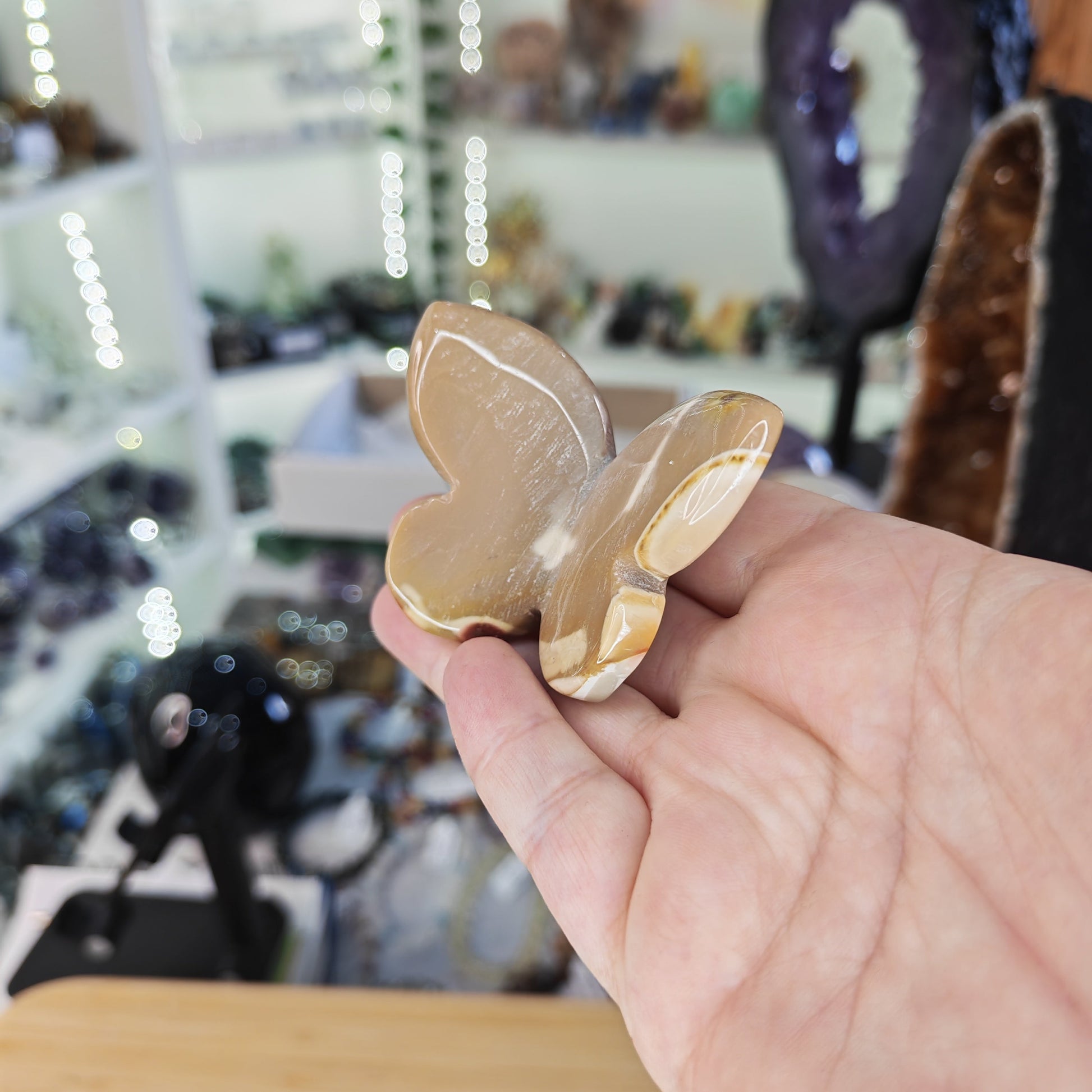 Yellow Mookaite 3D Butterfly