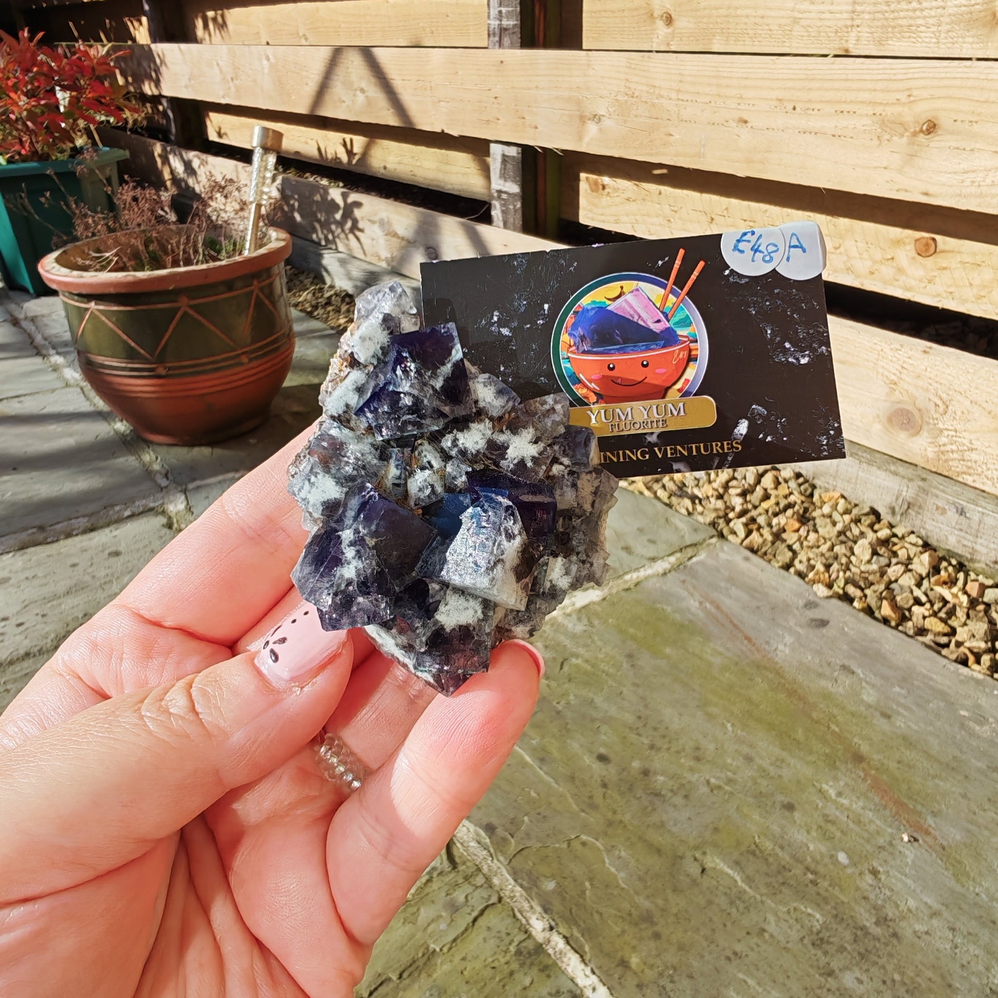 Yum yum Pocket Fluorite from the UK with purple and blue UV Cubes