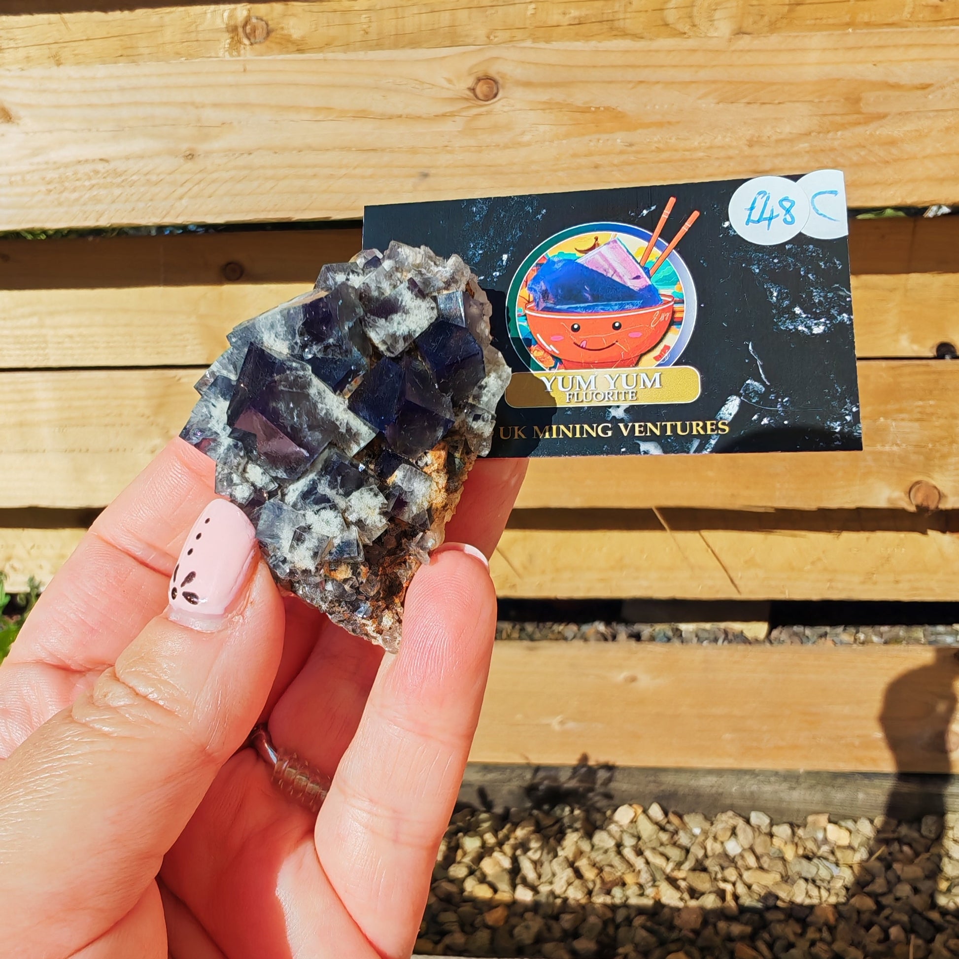 Yum Yum Fluorite Option C