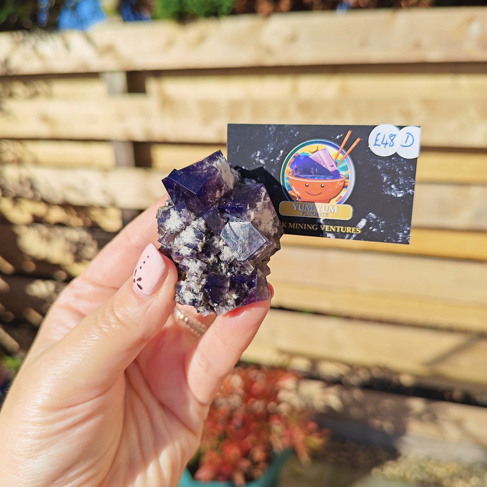 Yum Yum Fluorite Option D