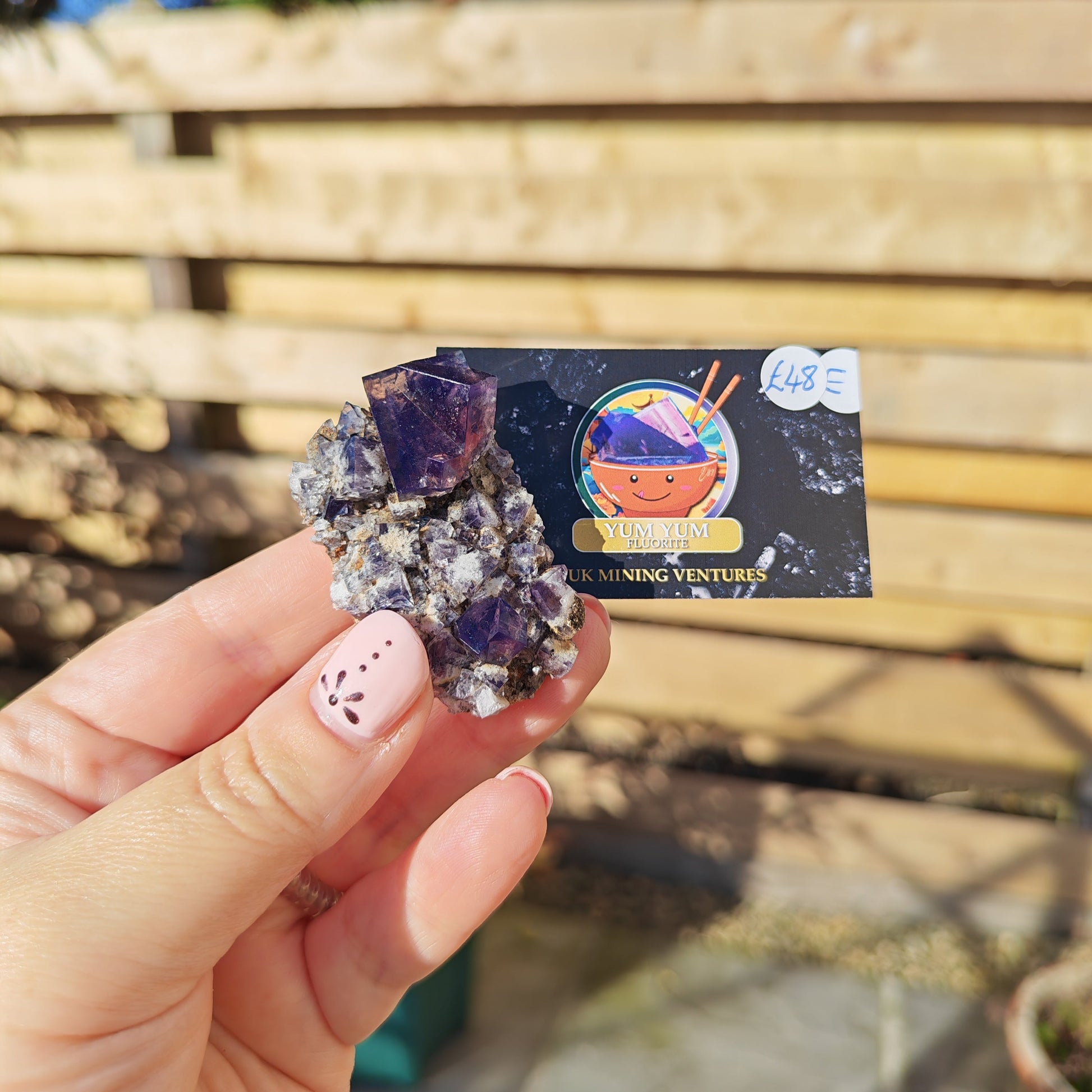 Yum Yum Fluorite Option E