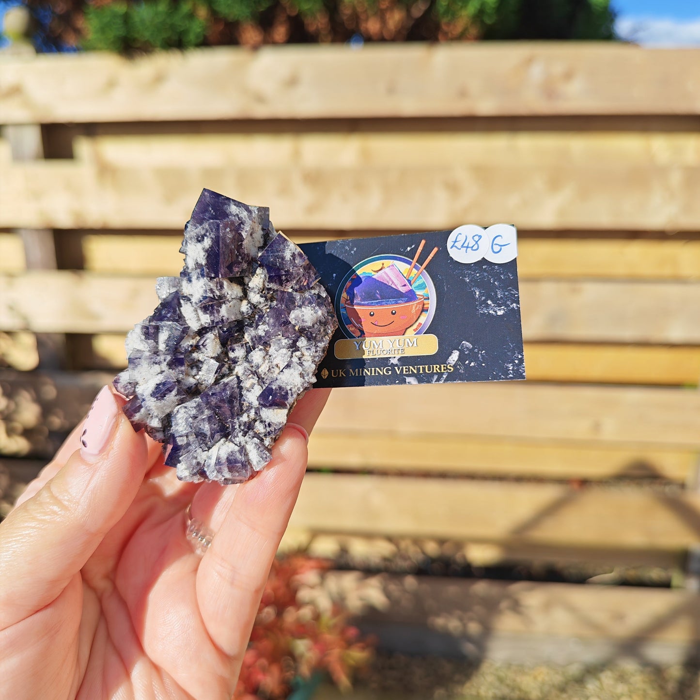 Yum Yum Fluorite Option G