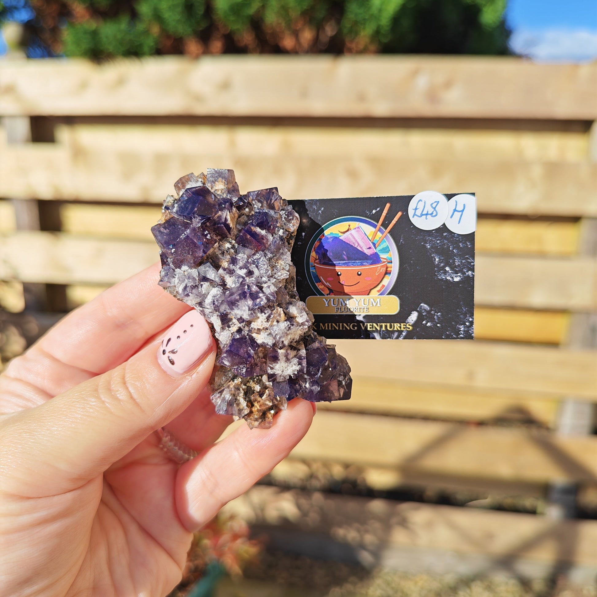 Yum Yum Fluorite Option H