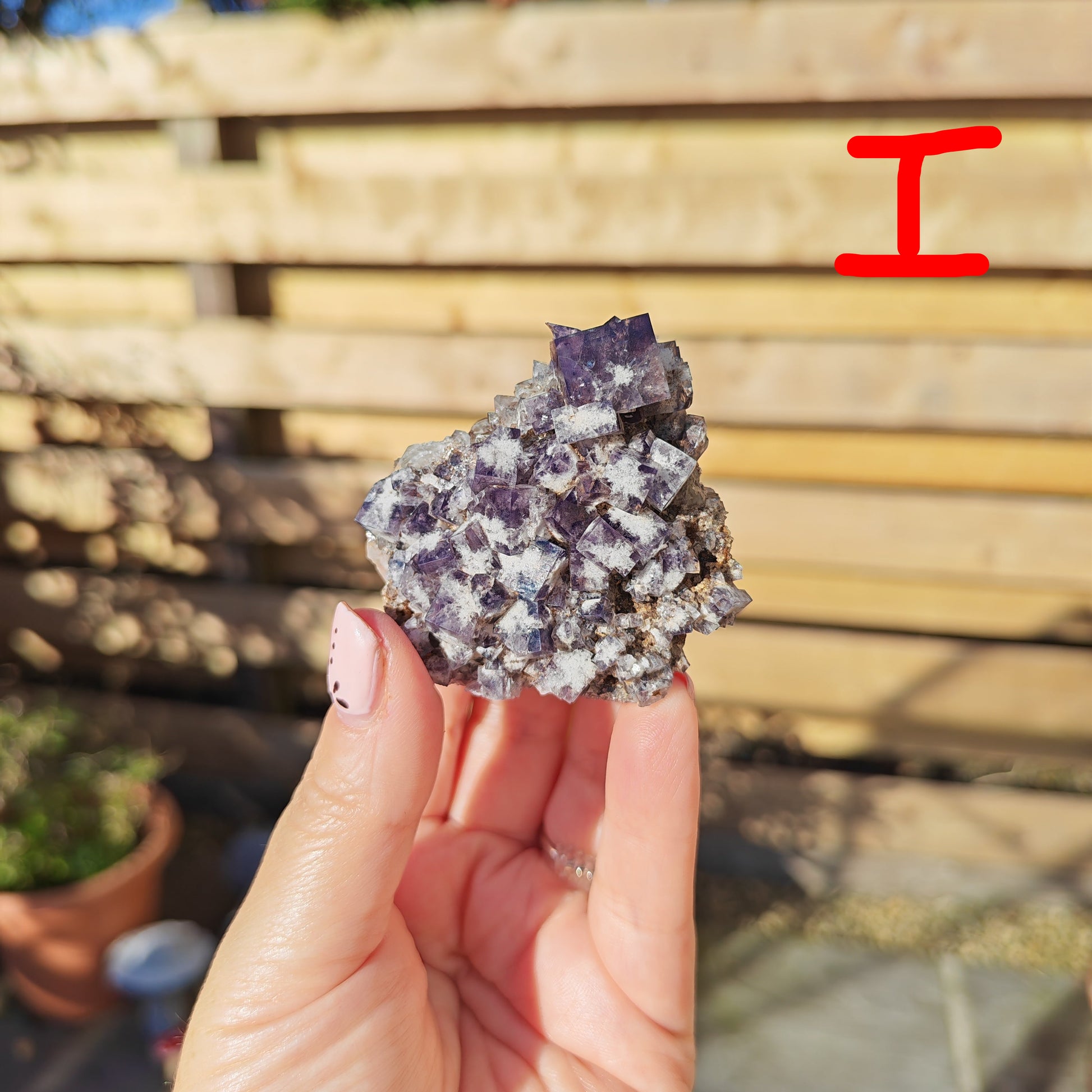 Yum Yum Fluorite Option I