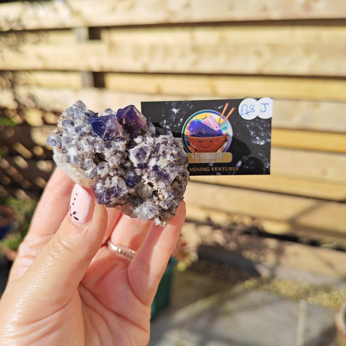 Yum Yum Fluorite Option J