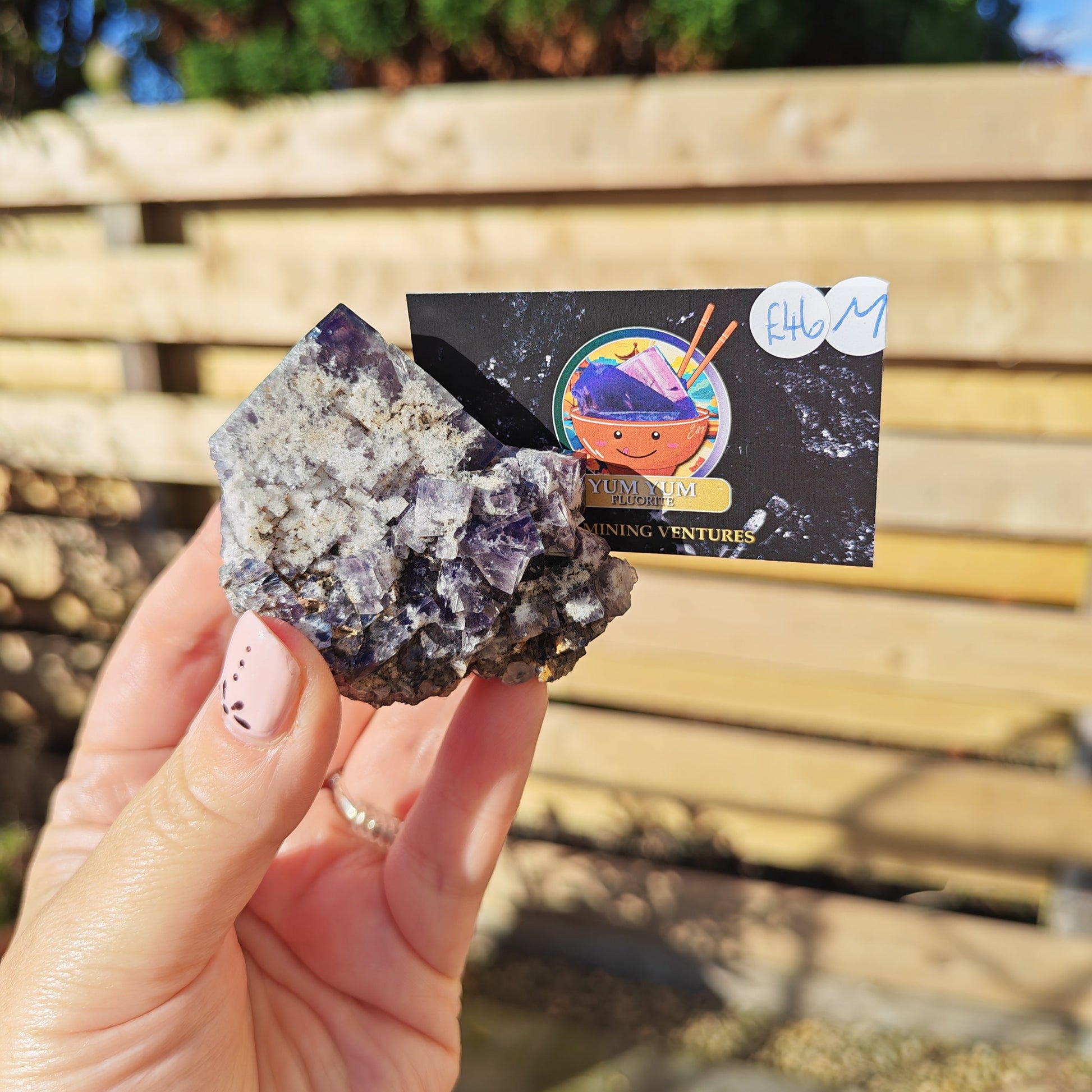 Yum Yum Fluorite Option M