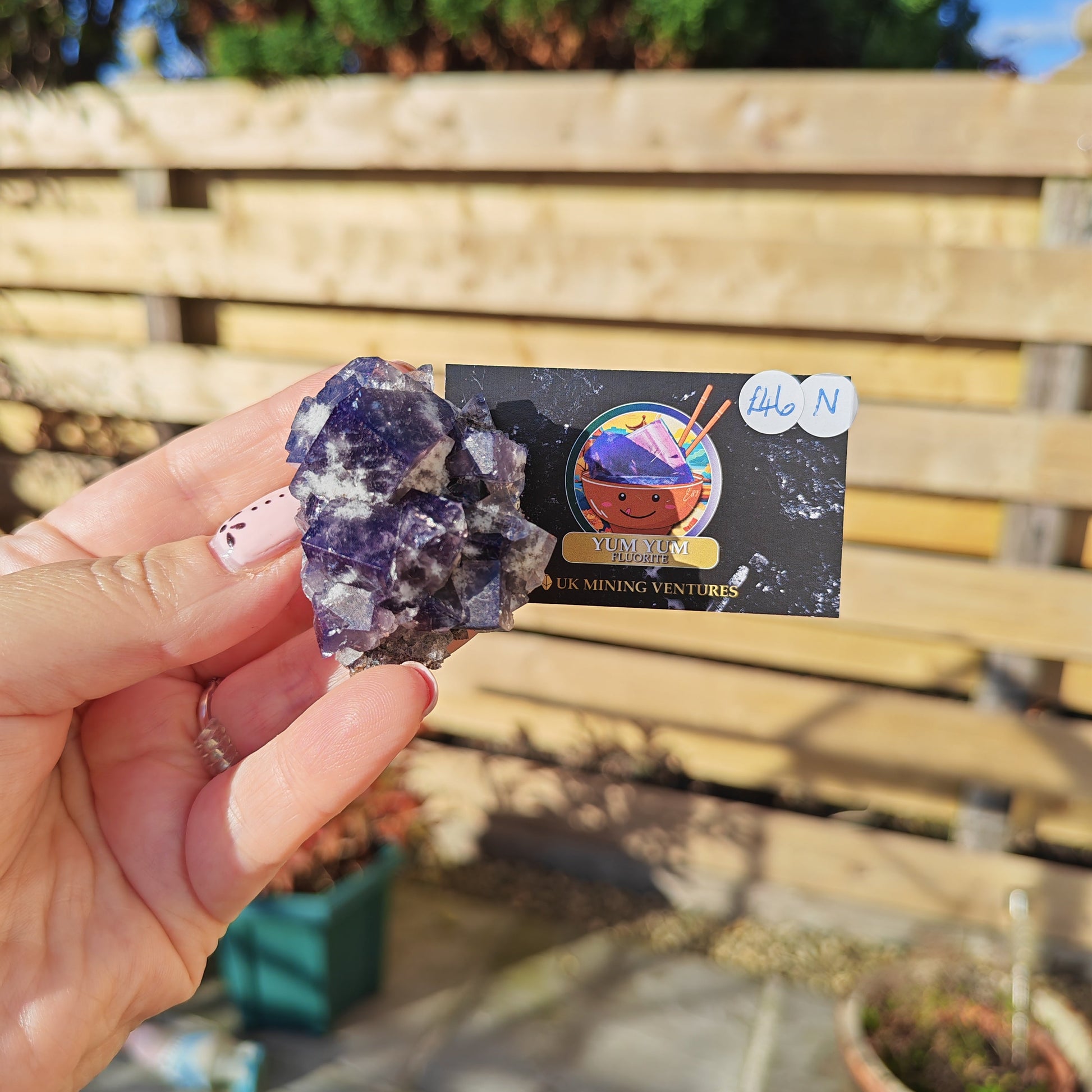 Yum Yum Fluorite Option N