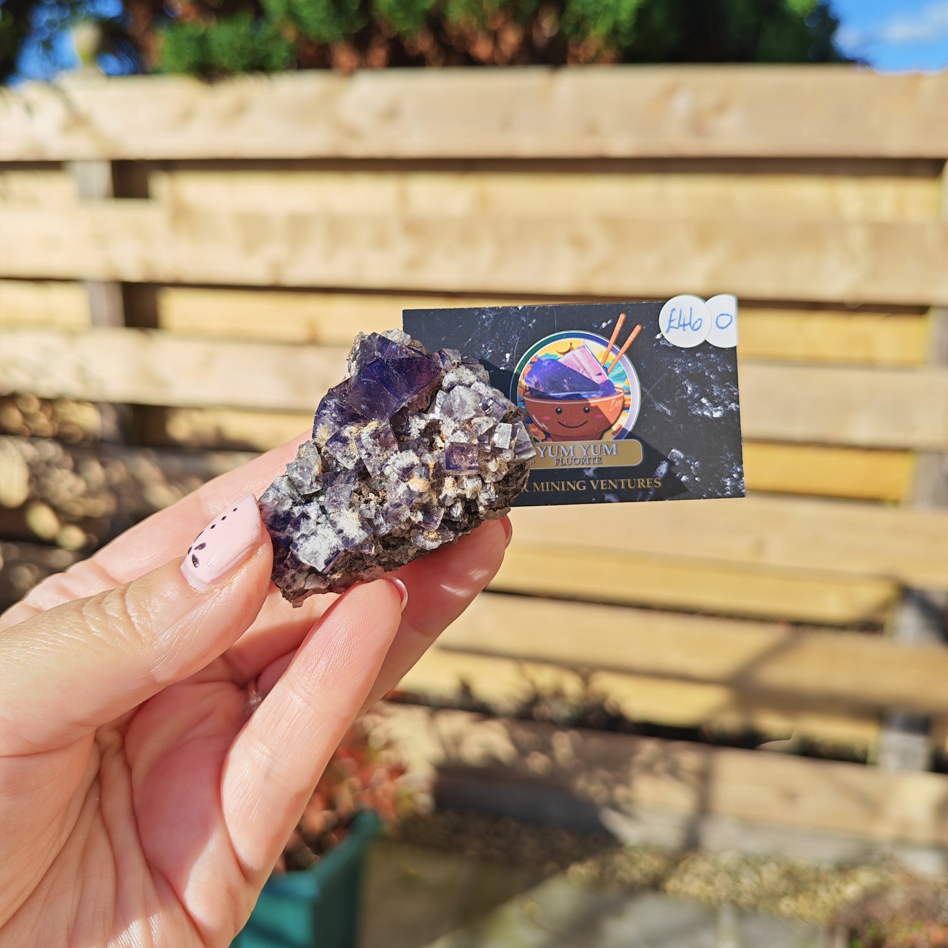 Yum Yum Fluorite Option O