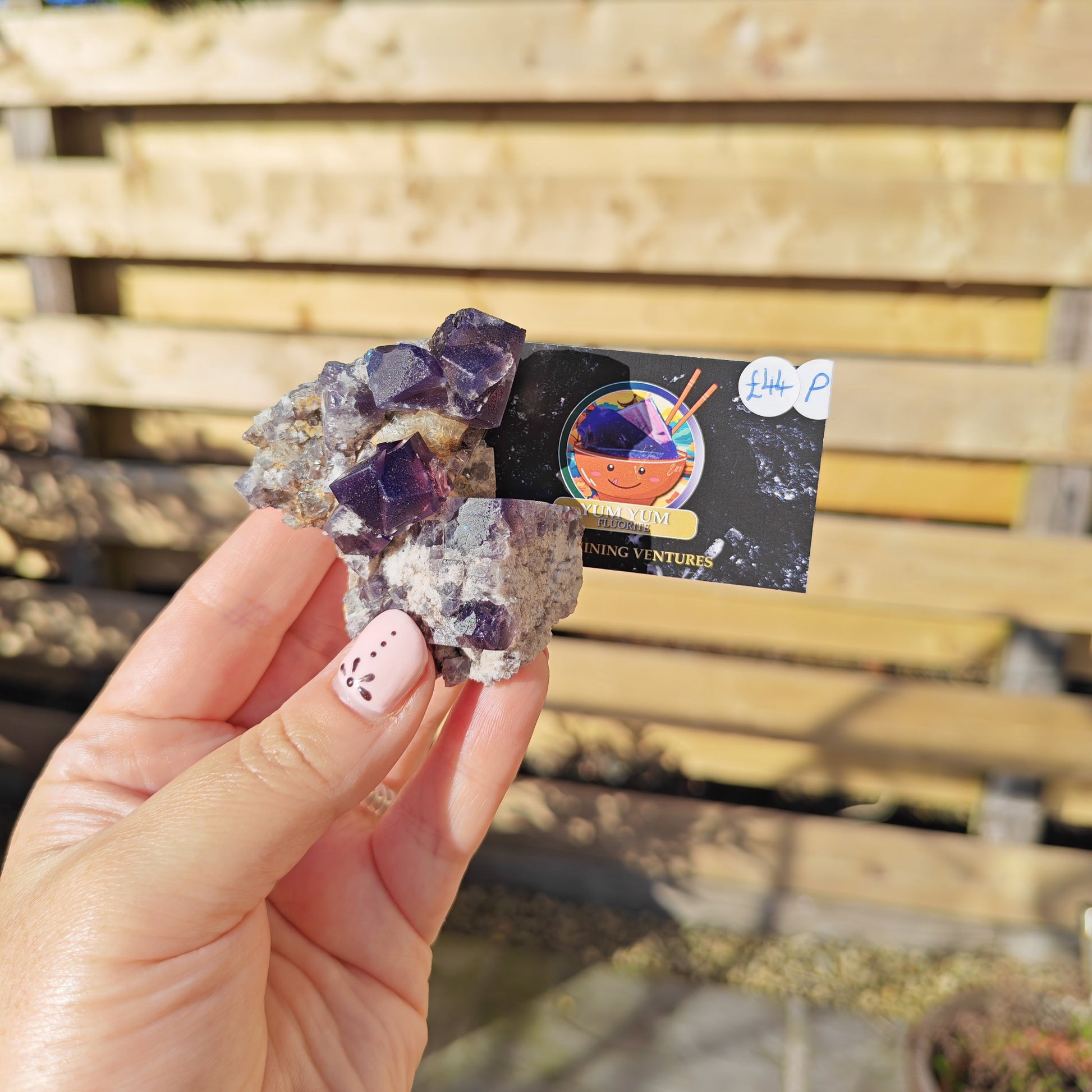 Yum Yum Fluorite Option P