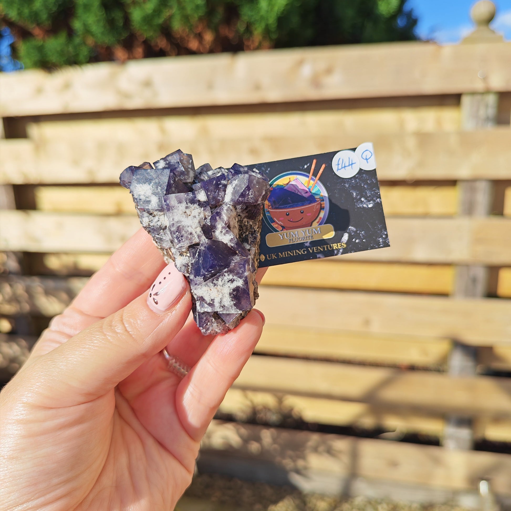 Yum Yum Fluorite Option Q